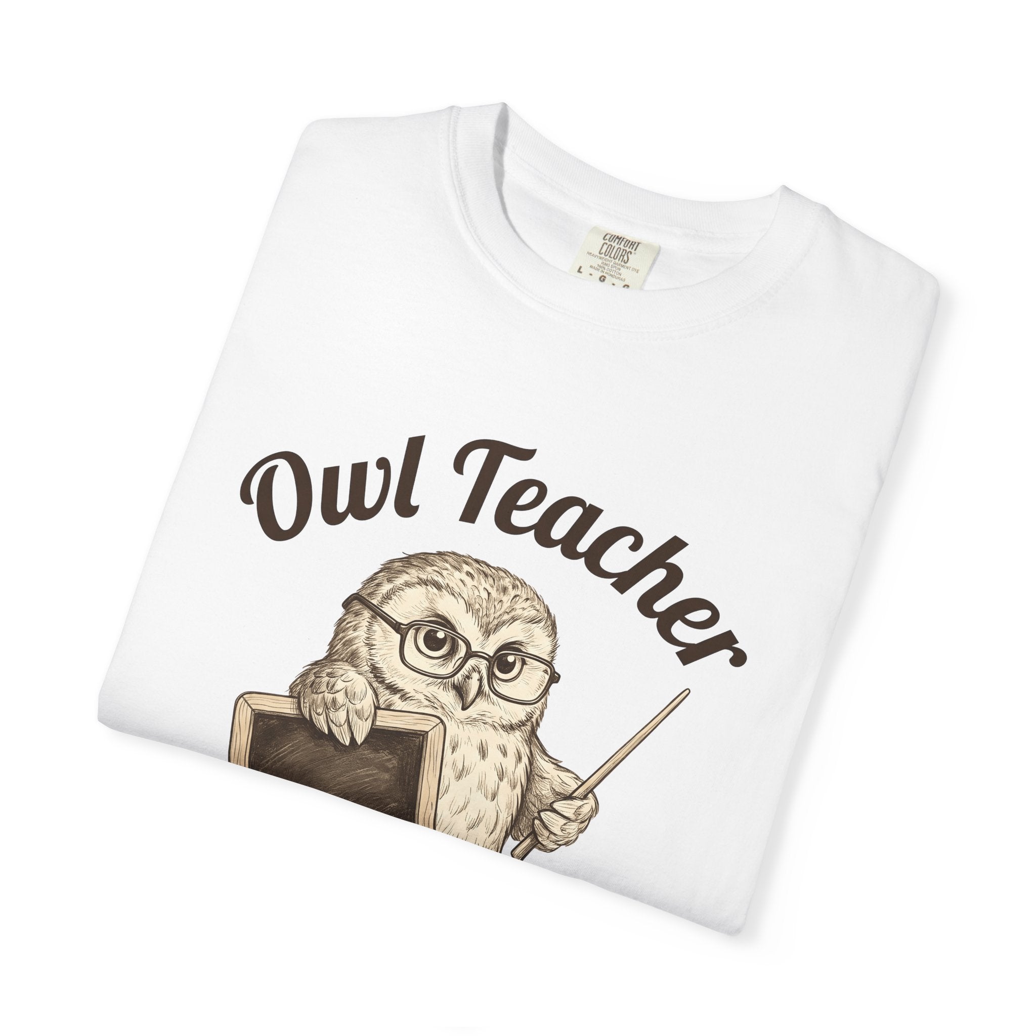 Owl Instructor Shirt Teacher Pet Gift Women Line Art Tee Owl Teacher T-Shirt Educator Enthusiast Illustration Graphic Drawing Hand Drawn