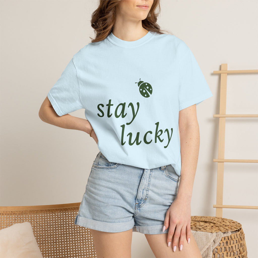 Ladybug Design Shirt St Patrick's Day Happiness Gift Women Simple Tee Ladybug T-Shirt Luck Fan Lady Tshirt Joy Graphic Vintage Good Luck