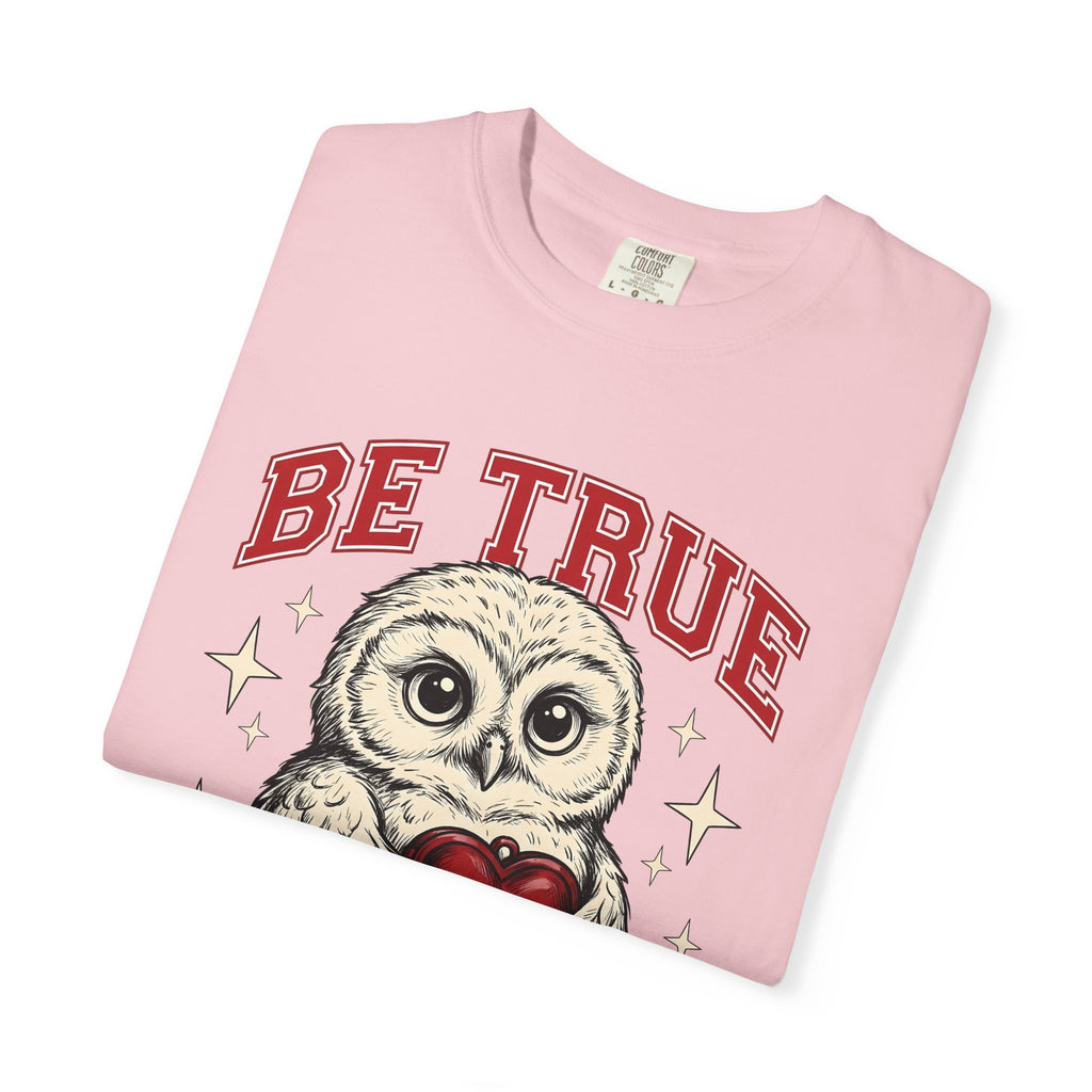 Owl Heart Shirt Valentines Day Animal Gift Women Cute Tee Owl T-Shirt Valentine Fan Kawaii Tshirt Creature Graphic Vintage Stars Tshirt