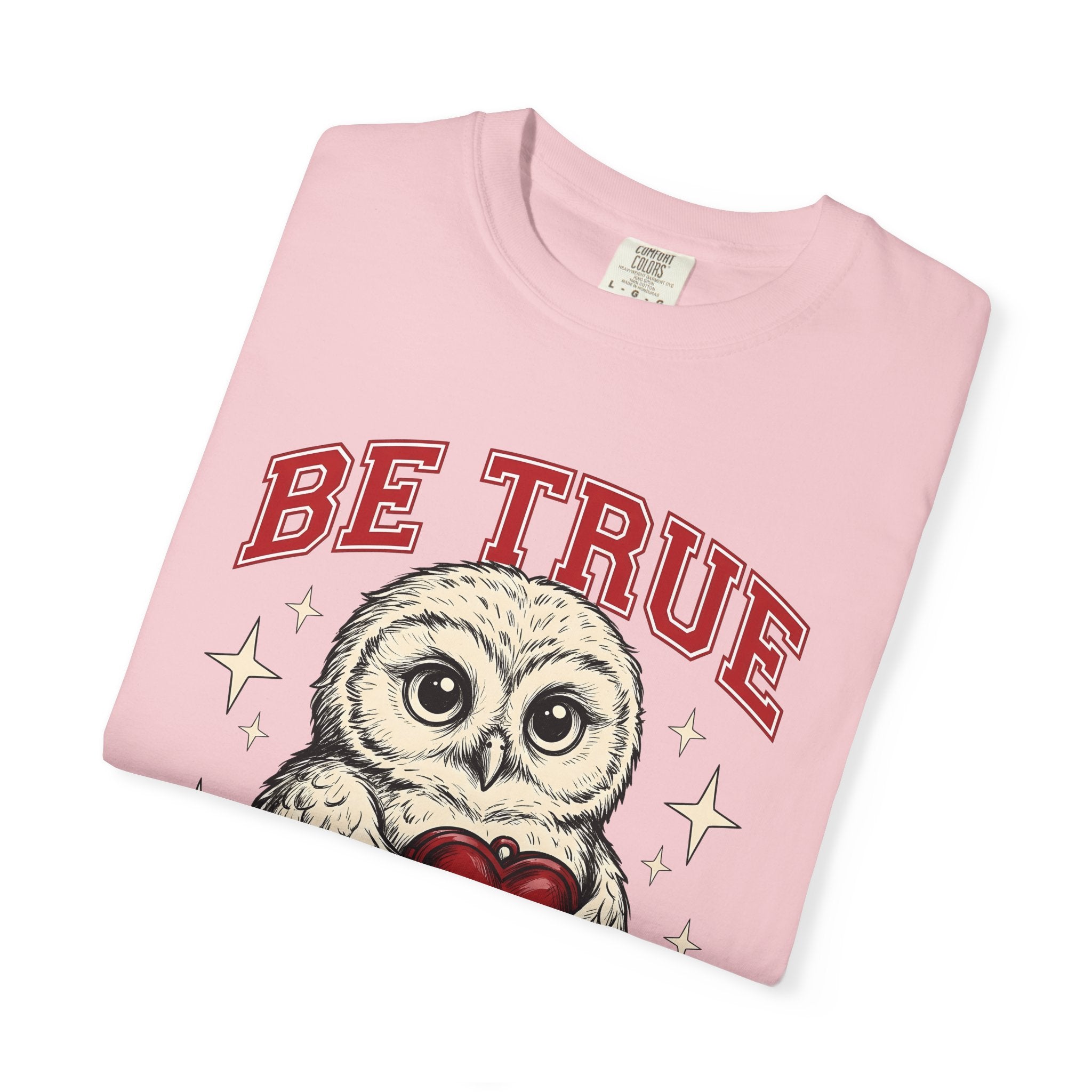 Owl Heart Shirt Valentines Day Animal Gift Women Cute Tee Owl T-Shirt Valentine Fan Kawaii Tshirt Creature Graphic Vintage Stars Tshirt