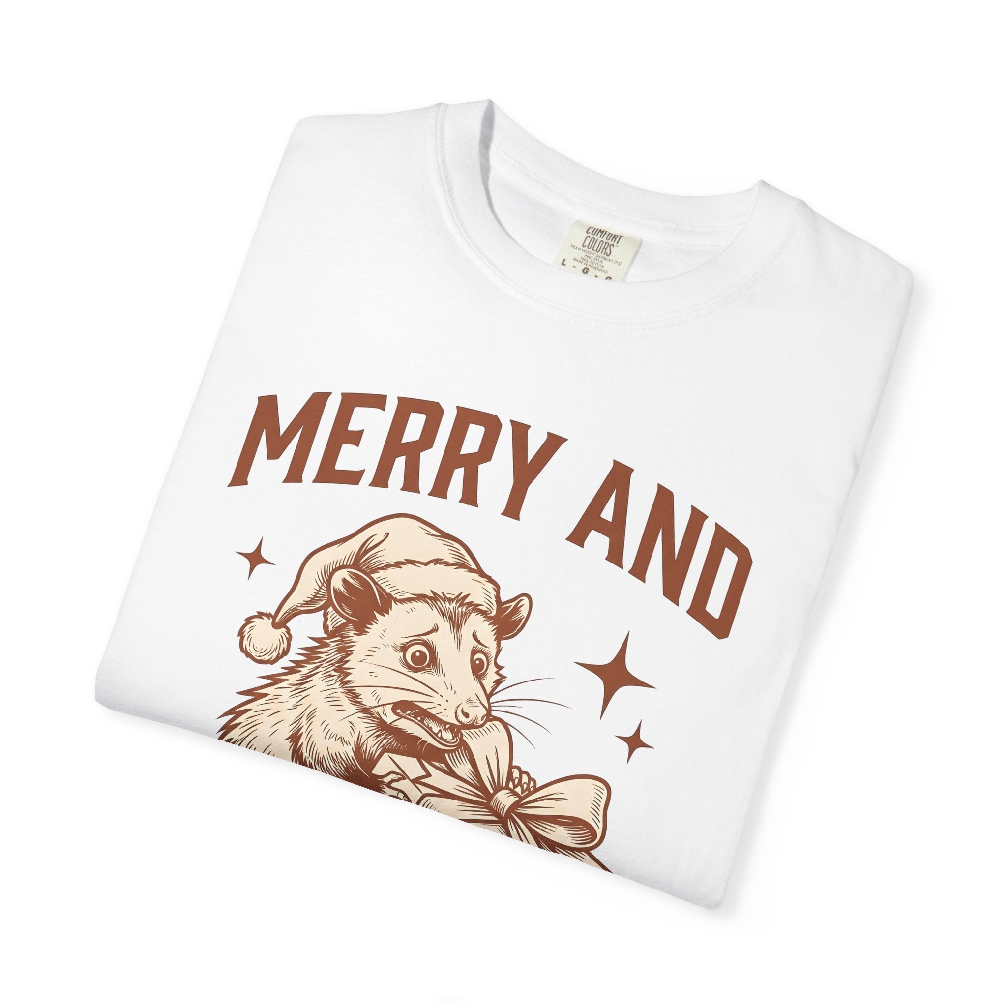 Possum Present Shirt Christmas Creatures Gift Women Cartoon Tee Opossum T-Shirt Xmas Fan Opossum Tshirt Animal Graphic Doodle Santa Cap