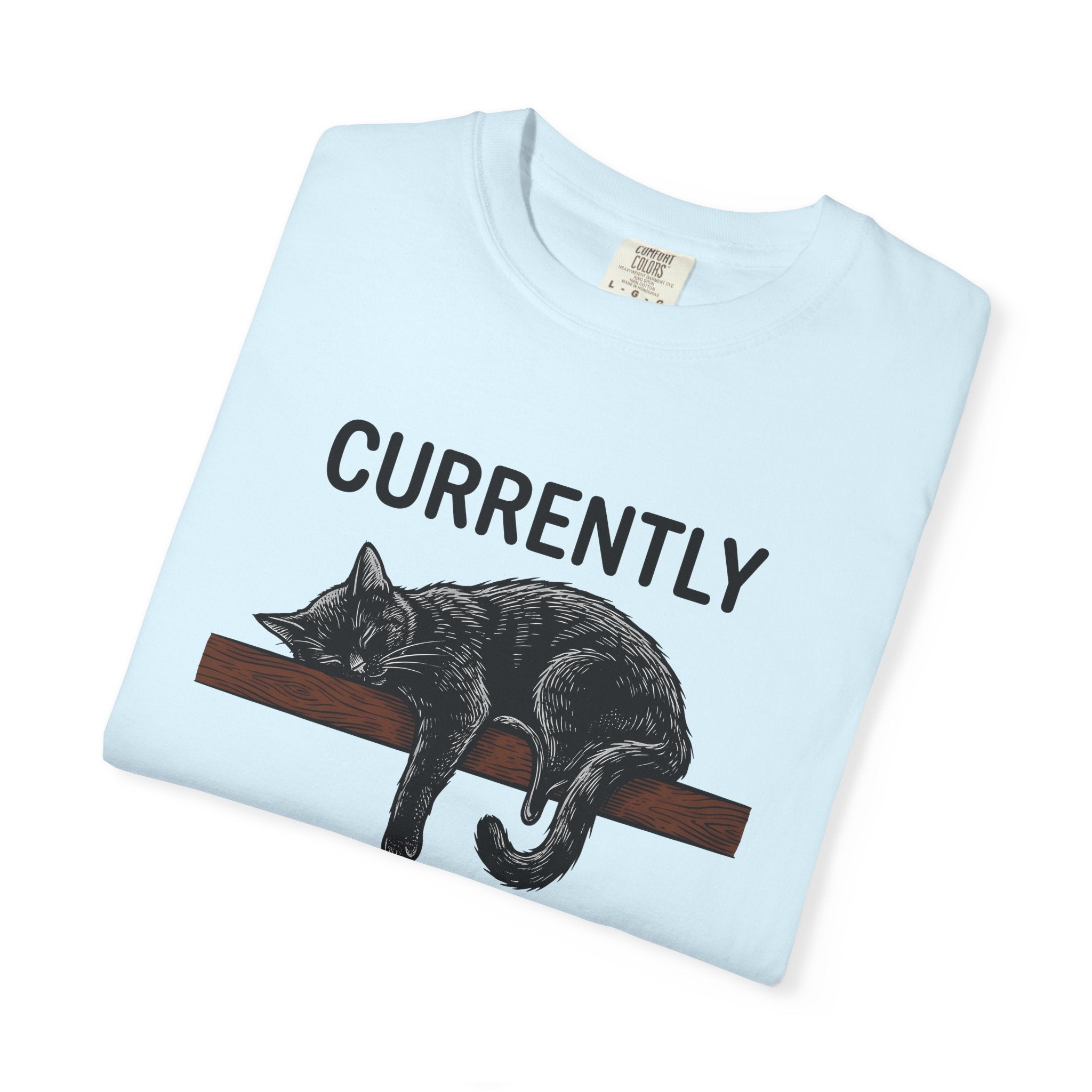 Sleeping Cat Shirt Cat Humor Gift Women Hand Drawn Tee Kitten T-Shirt Cat Fan Feline Tshirt Funny Graphic Vintage Wood Plank Tshirt