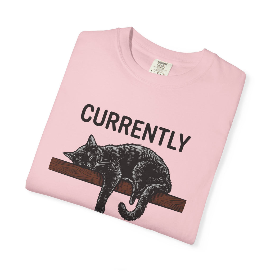 Sleeping Cat Shirt Cat Humor Gift Women Hand Drawn Tee Kitten T-Shirt Cat Fan Feline Tshirt Funny Graphic Vintage Wood Plank Tshirt