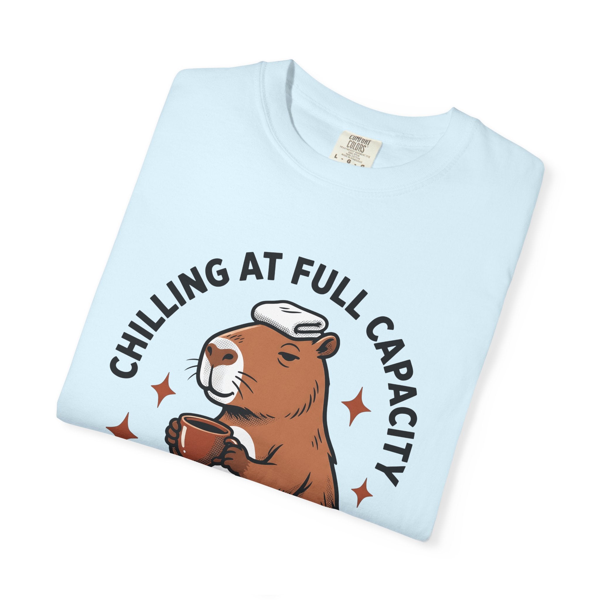 Capybara Latte Shirt Coffee Pets Gift Women Comic Strip Tee Rodent T-Shirt Coffee Fan Cartoon Tshirt Animal Graphic Classic Twinkles Tshirt