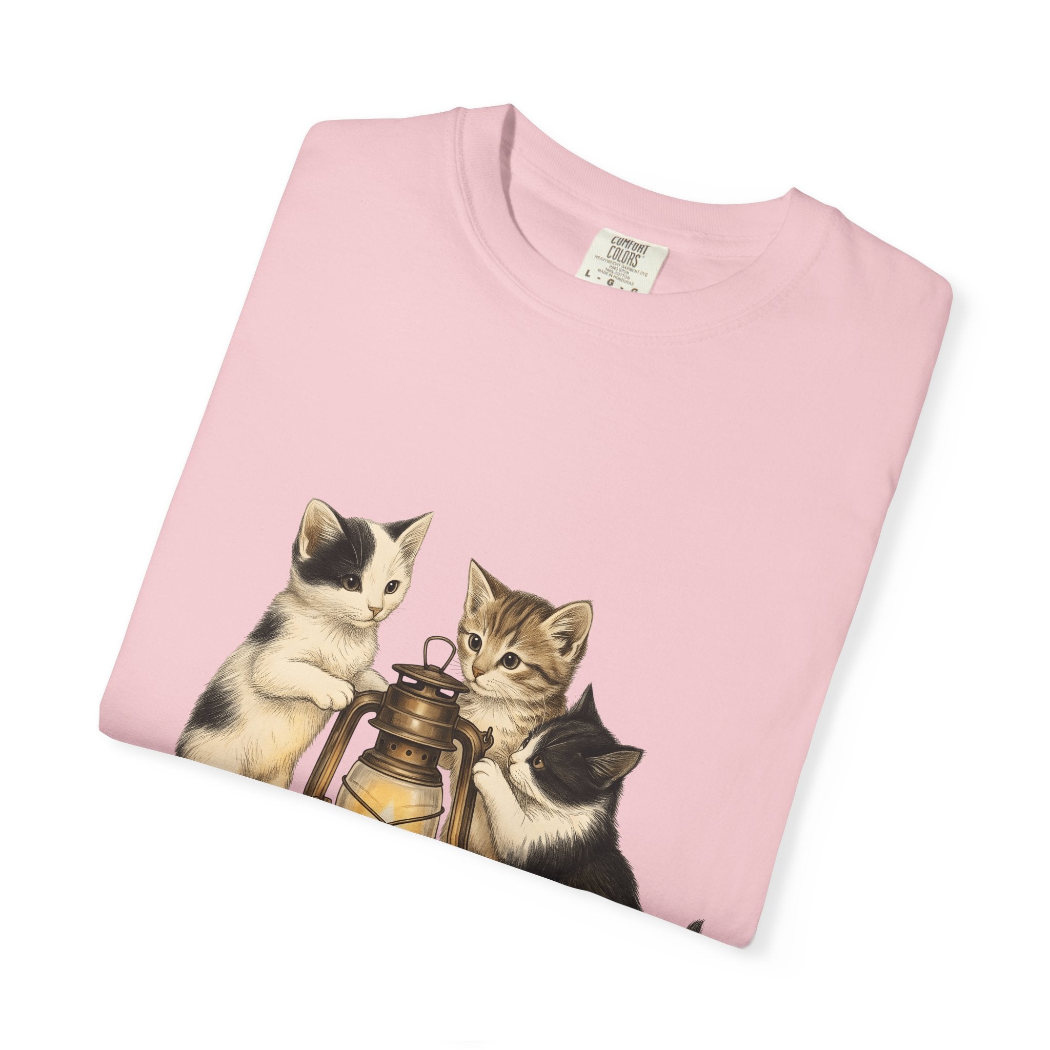 Feline Lantern Shirt Cat Environment Gift Women Naturalistic Tee Cat Lantern T-Shirt Cat Fan Eco Graphic Tshirt Shabby Chic Orange Leaves