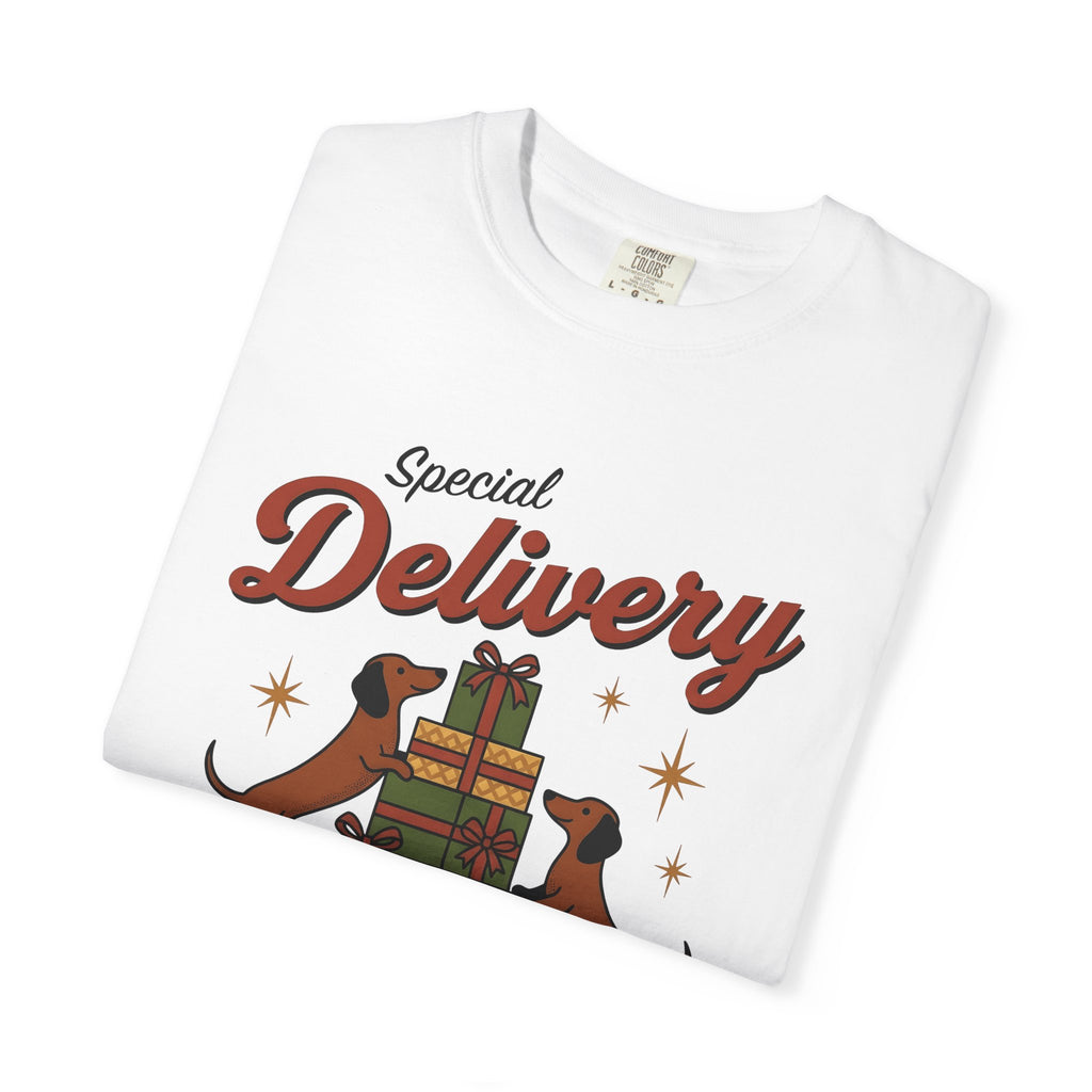 Dachshund Dogs Shirt Christmas Dog Gift Women Vintage Tee Wiener Dog T-Shirt Christmas Fan Doxie Graphic Retro Gift Boxes Tshirt