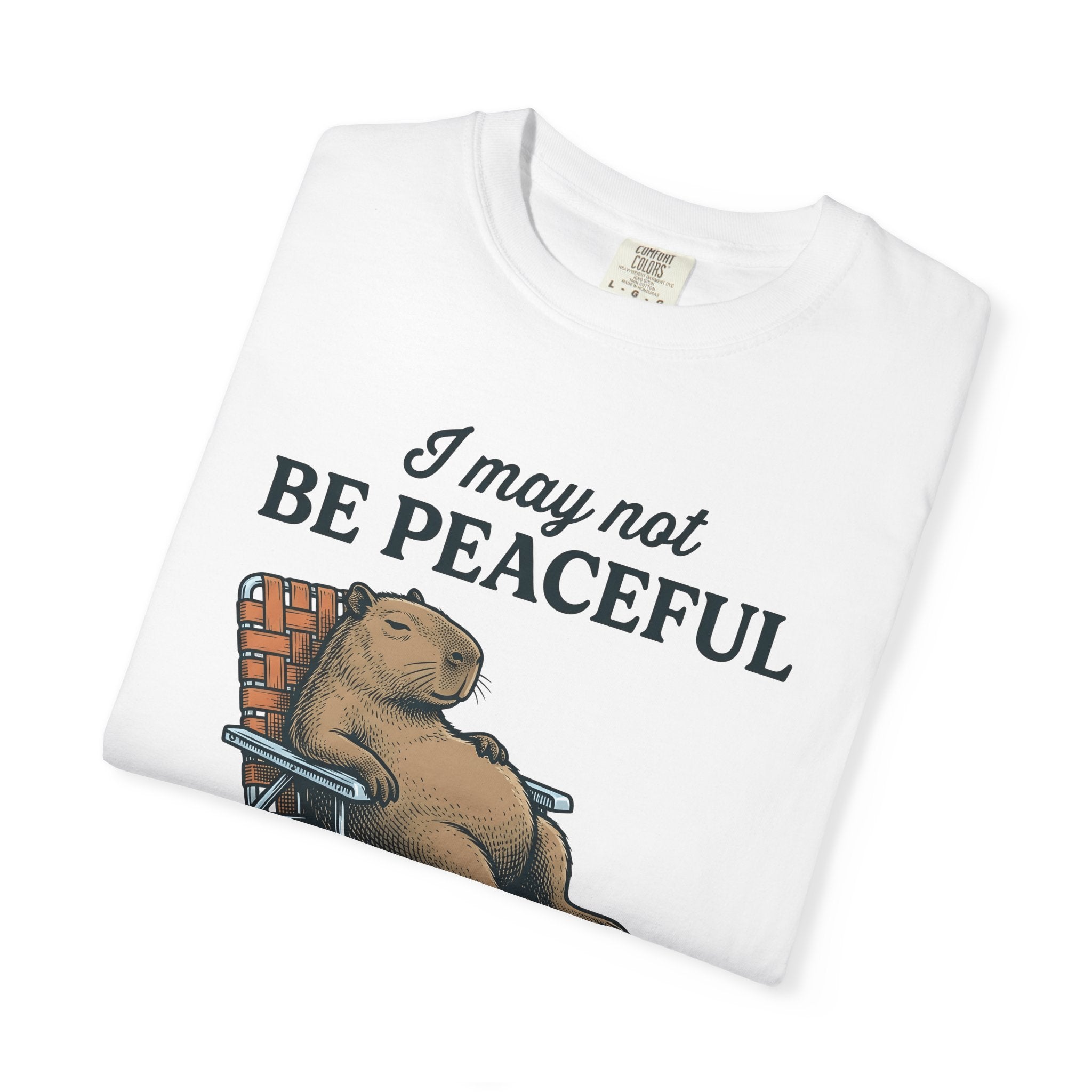 Capybara Seat Shirt Funny Pet Gift Women Retro Tee Rodent T-Shirt Humor Fan Vintage Tshirt Animal Graphic Sketch Recliner Tshirt