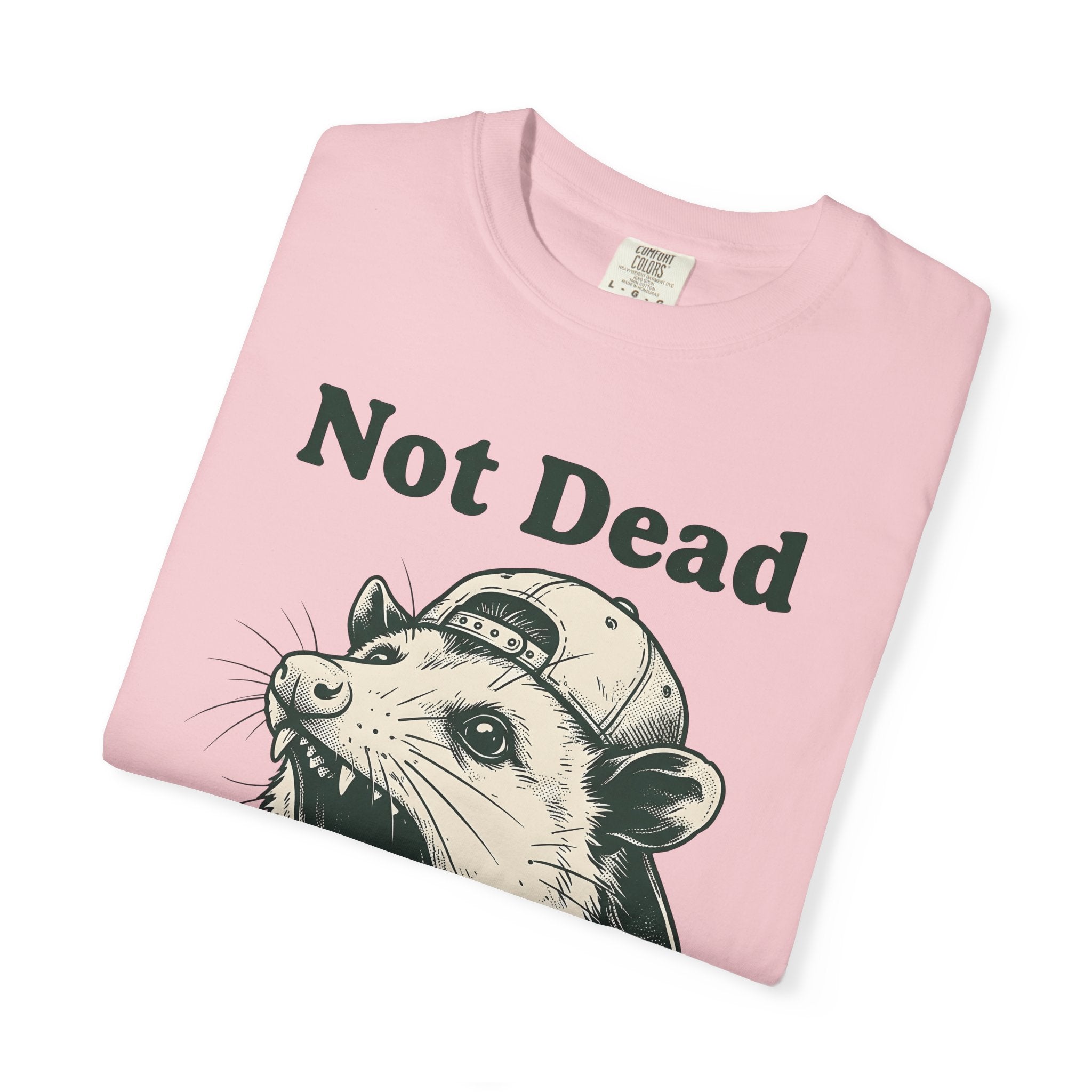 Possum Cap Shirt Funny Creatures Gift Women Illustration Tee Opossum T-Shirt Humor Fan Graphic Tshirt Animal Graphic Art Print Sporty Hat