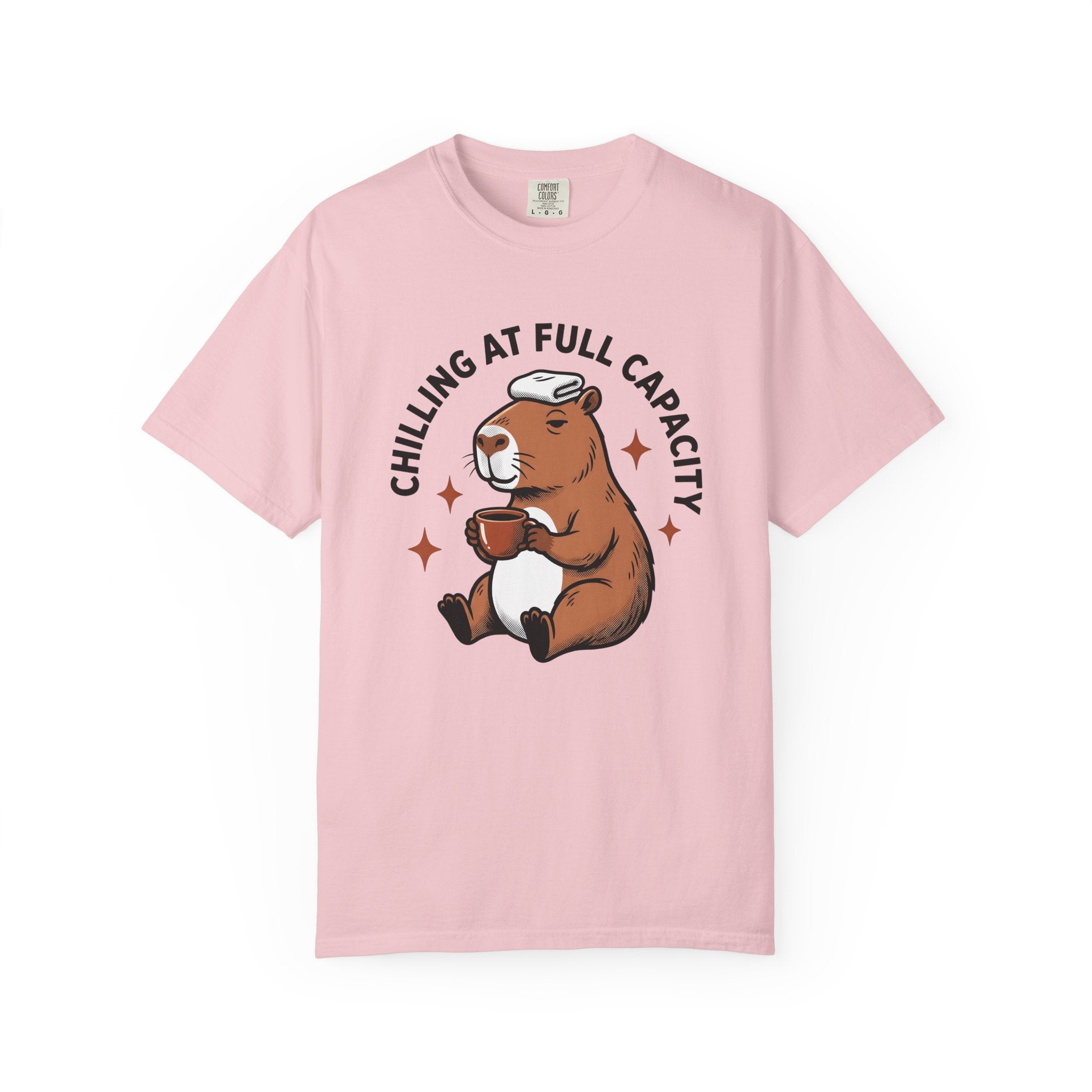 Capybara Latte Shirt Coffee Pets Gift Women Comic Strip Tee Rodent T-Shirt Coffee Fan Cartoon Tshirt Animal Graphic Classic Twinkles Tshirt