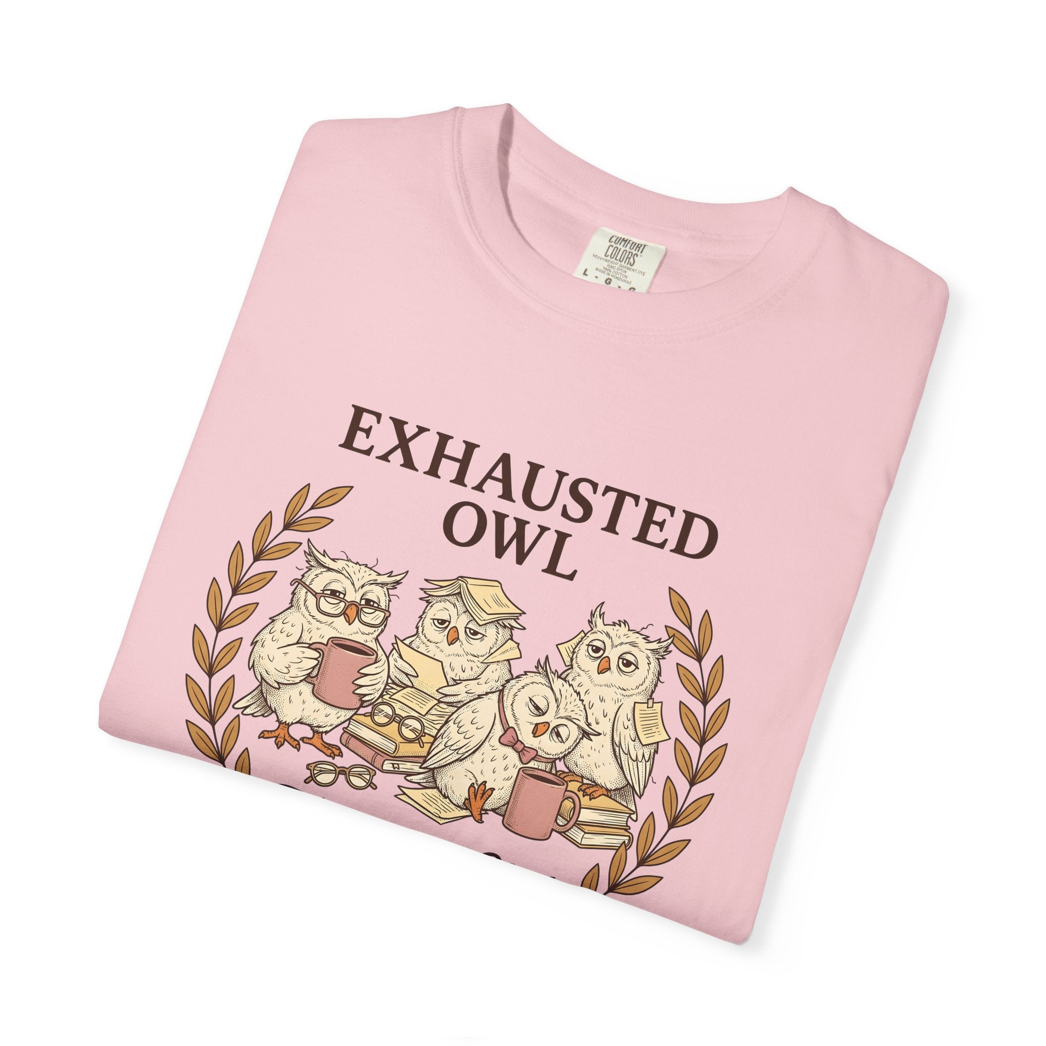 Sleepy Owls Shirt Teachers Comedy Gift Women Line Art Tee Owl T-Shirt Educator Enthusiast Illustration Graphic Classic Mug Tshirt