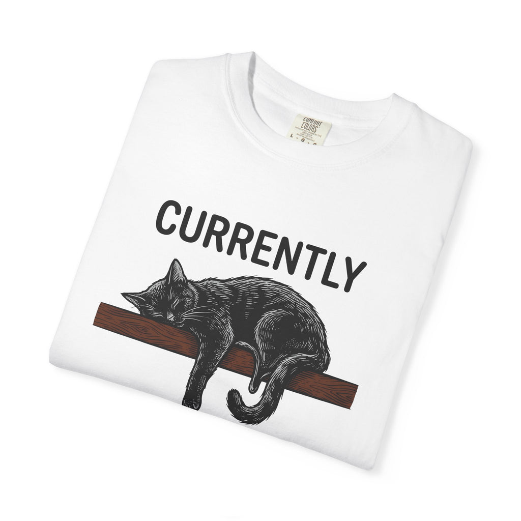 Sleeping Cat Shirt Cat Humor Gift Women Hand Drawn Tee Kitten T-Shirt Cat Fan Feline Tshirt Funny Graphic Vintage Wood Plank Tshirt