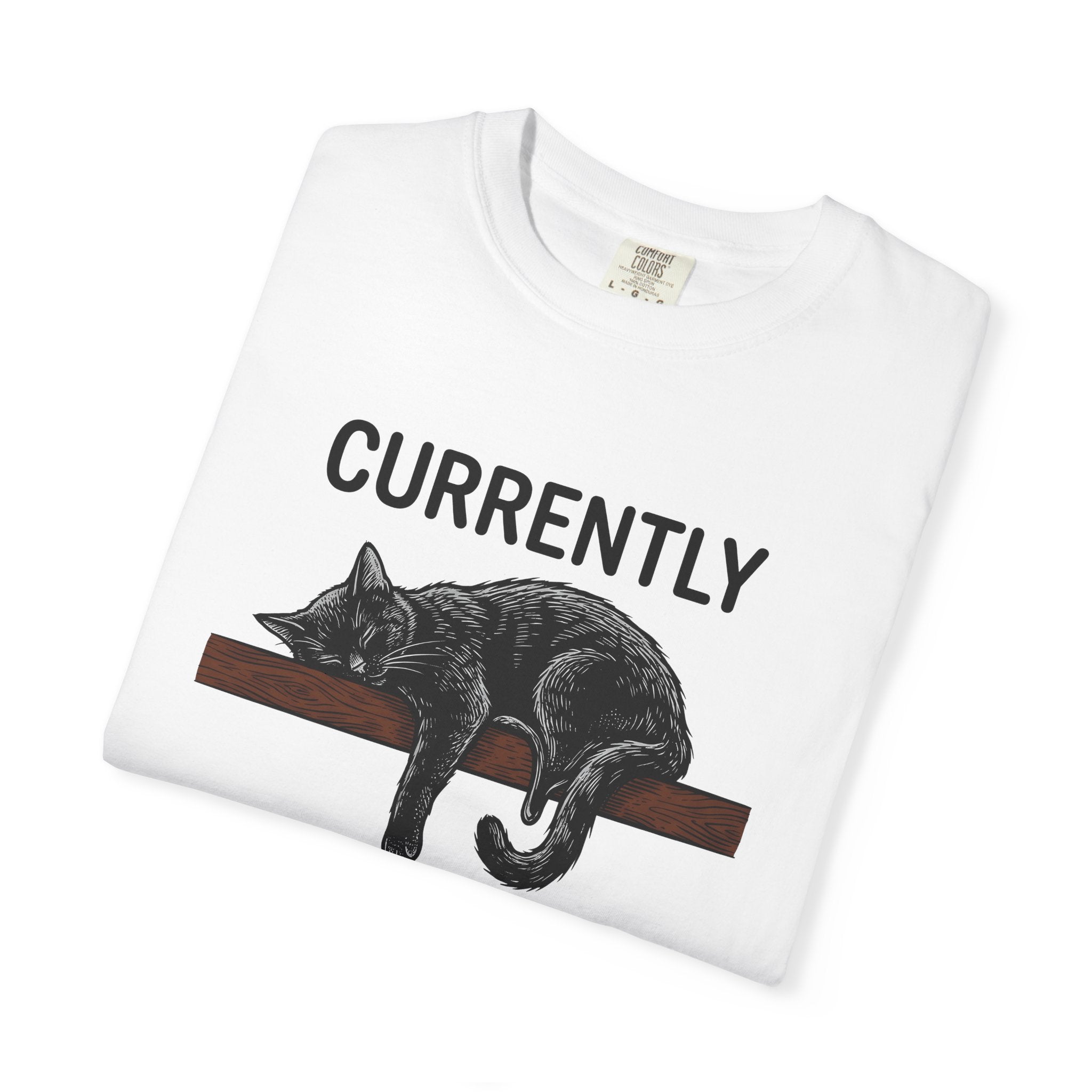 Sleeping Cat Shirt Cat Humor Gift Women Hand Drawn Tee Kitten T-Shirt Cat Fan Feline Tshirt Funny Graphic Vintage Wood Plank Tshirt
