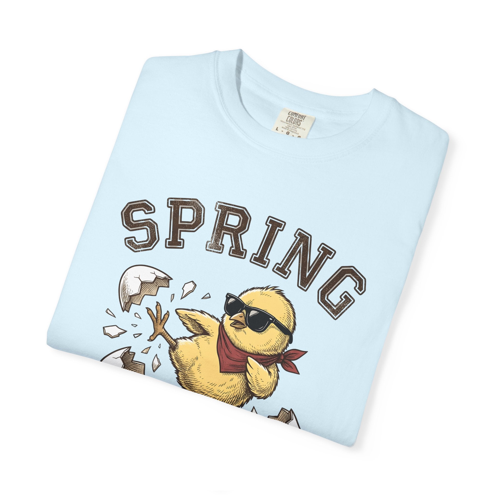 Stylish Chicken Shirt Easter Nature Gift Women Retro Tee Hen T-Shirt Easter Fan Wildlife Graphic Tshirt Vintage Illustration Cartoon