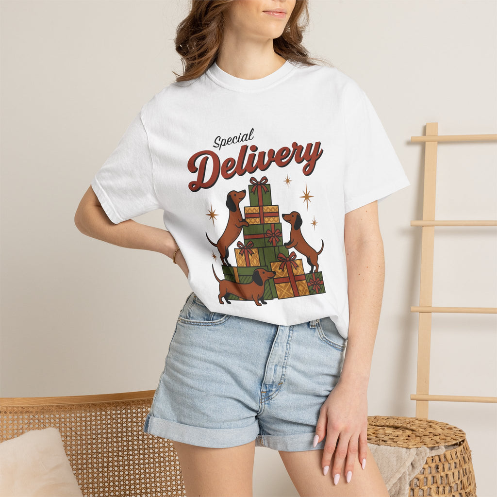 Dachshund Dogs Shirt Christmas Dog Gift Women Vintage Tee Wiener Dog T-Shirt Christmas Fan Doxie Graphic Retro Gift Boxes Tshirt