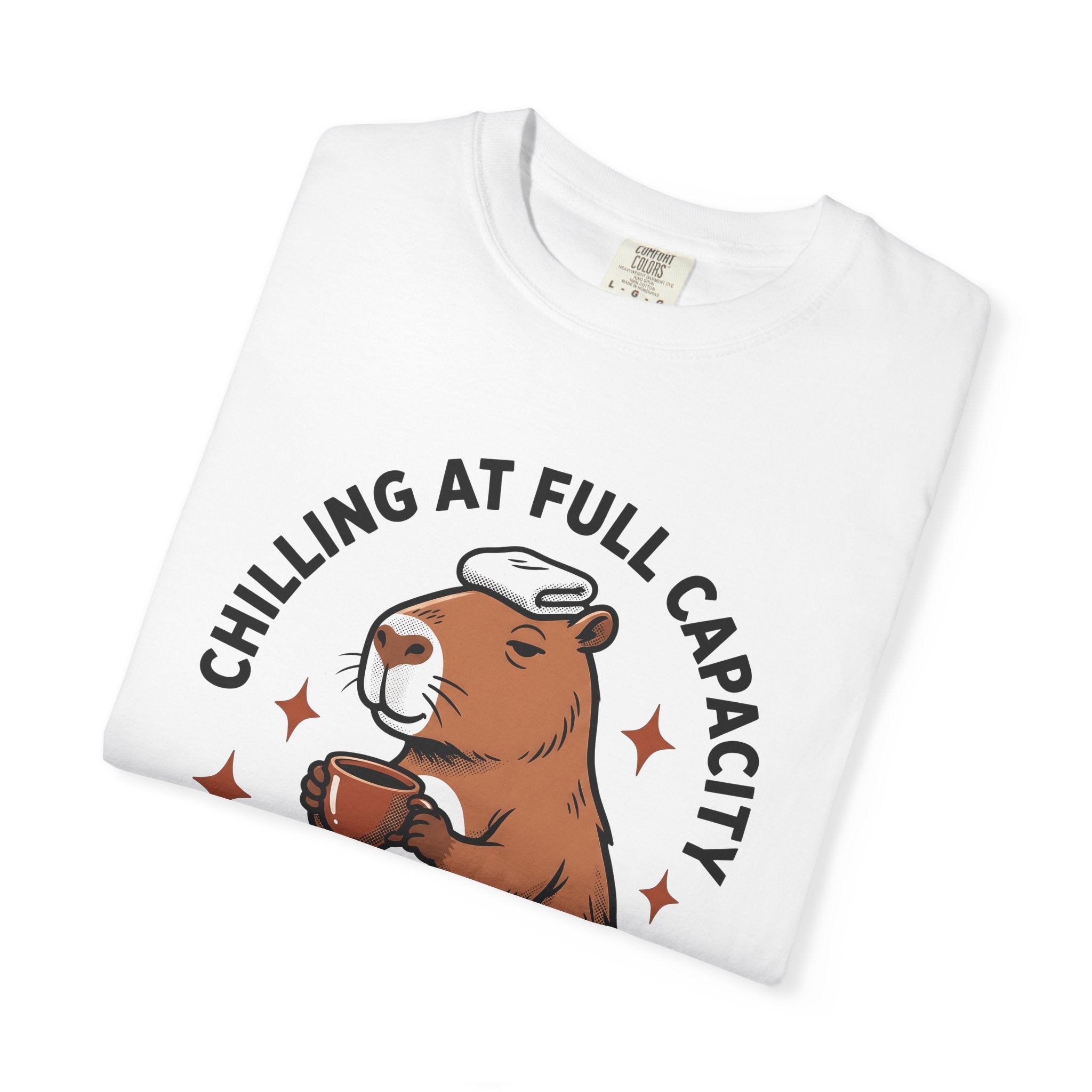 Capybara Latte Shirt Coffee Pets Gift Women Comic Strip Tee Rodent T-Shirt Coffee Fan Cartoon Tshirt Animal Graphic Classic Twinkles Tshirt