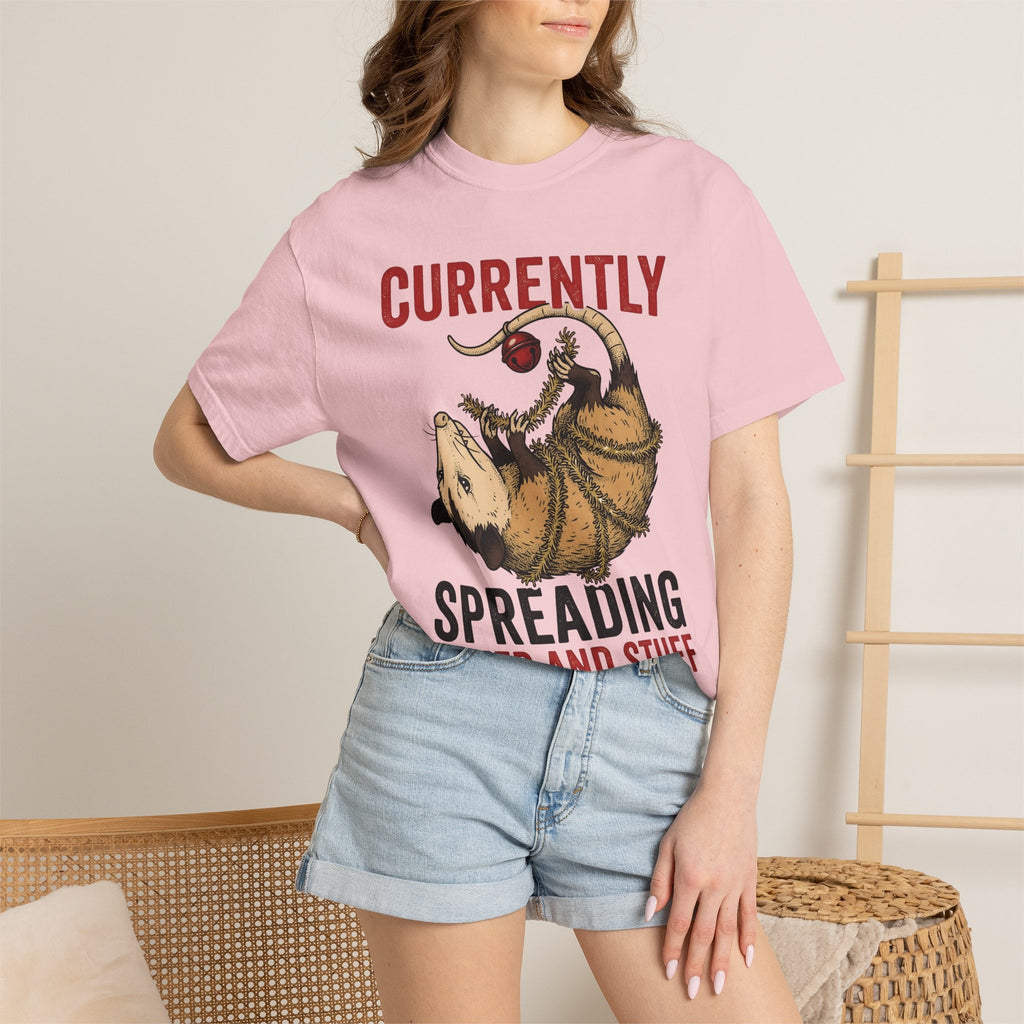 Opossum Art Shirt Christmas Creatures Gift Women Cartoon Tee Possum T-Shirt Xmas Fan Opossum Artwork Graphic Tshirt Sketch Greenery Tshirt