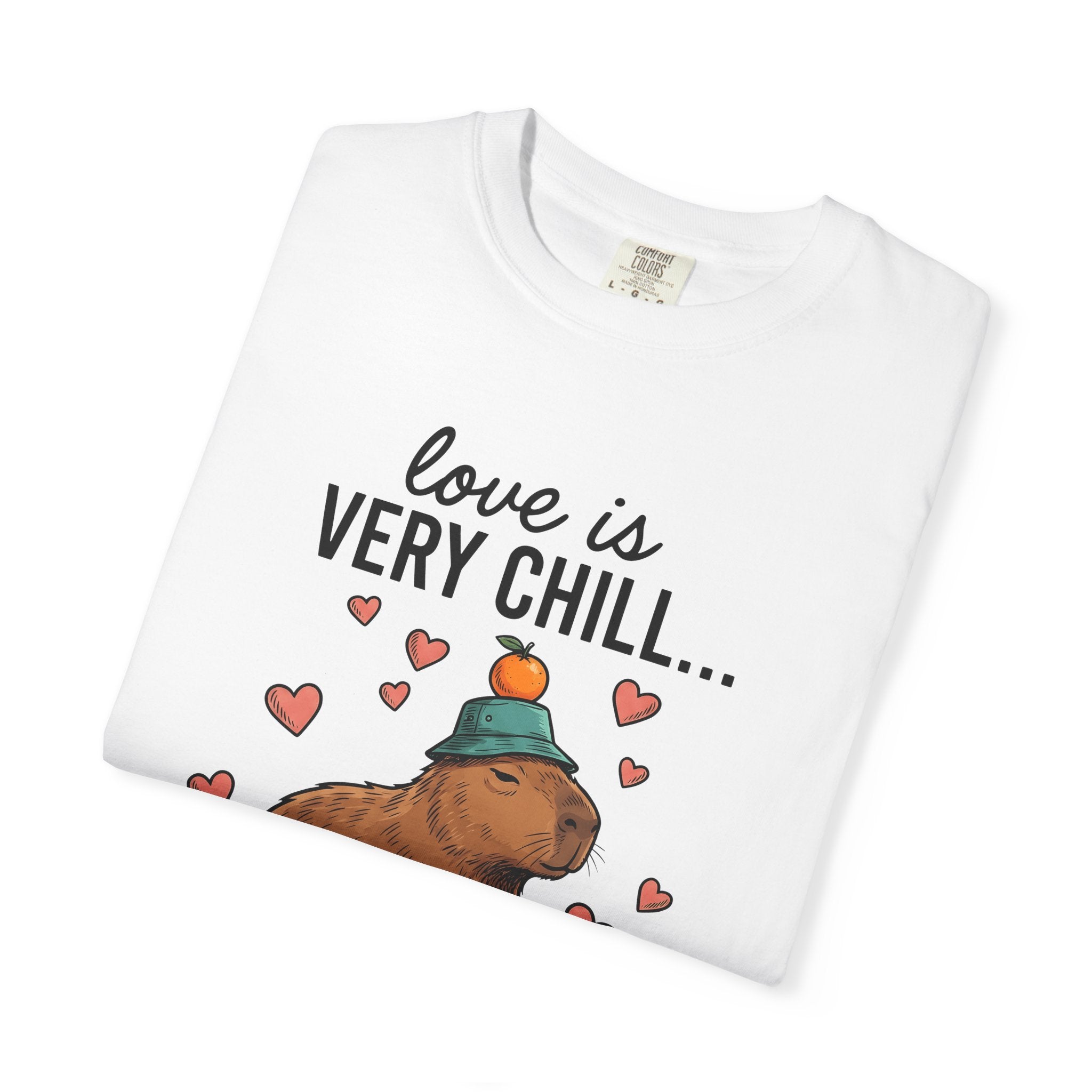 Capybara Drawing Shirt Valentines Day Creature Gift Women Animation Tee Rodent T-Shirt Valentine Fan Cartoon Tshirt Animal Graphic Doodle