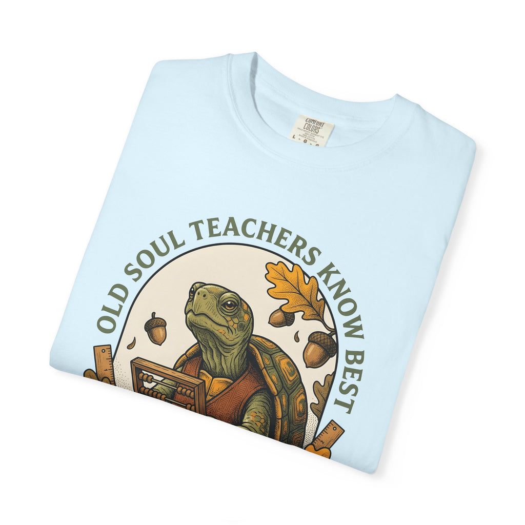 Turtle Mentor Shirt Teachers Creatures Gift Women Old School Tee Tormentor T-Shirt Educator Enthusiast Retro Tshirt Animal Graphic Cartoon