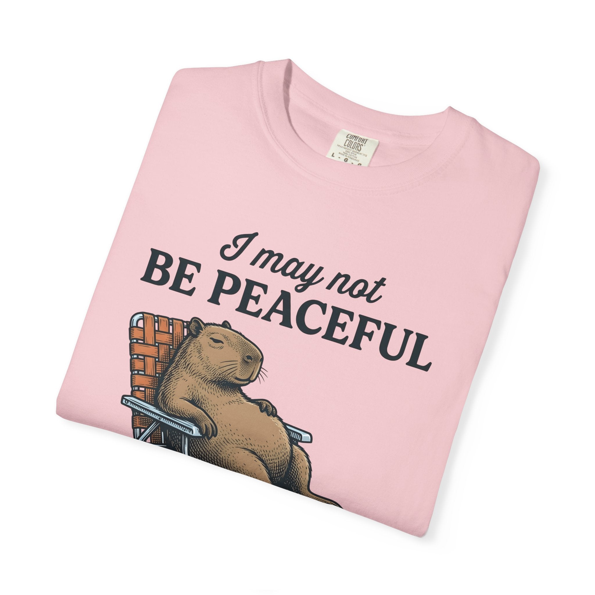 Capybara Seat Shirt Funny Pet Gift Women Retro Tee Rodent T-Shirt Humor Fan Vintage Tshirt Animal Graphic Sketch Recliner Tshirt