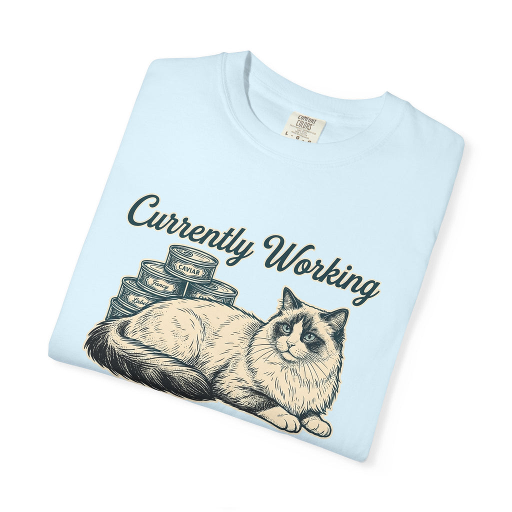 Ragdoll Pussycat Shirt Cat Companion Gift Women Distressed Tee Cat T-Shirt Cat Fan Vintage Tshirt Friend Graphic Line Art Kitty Food Cans