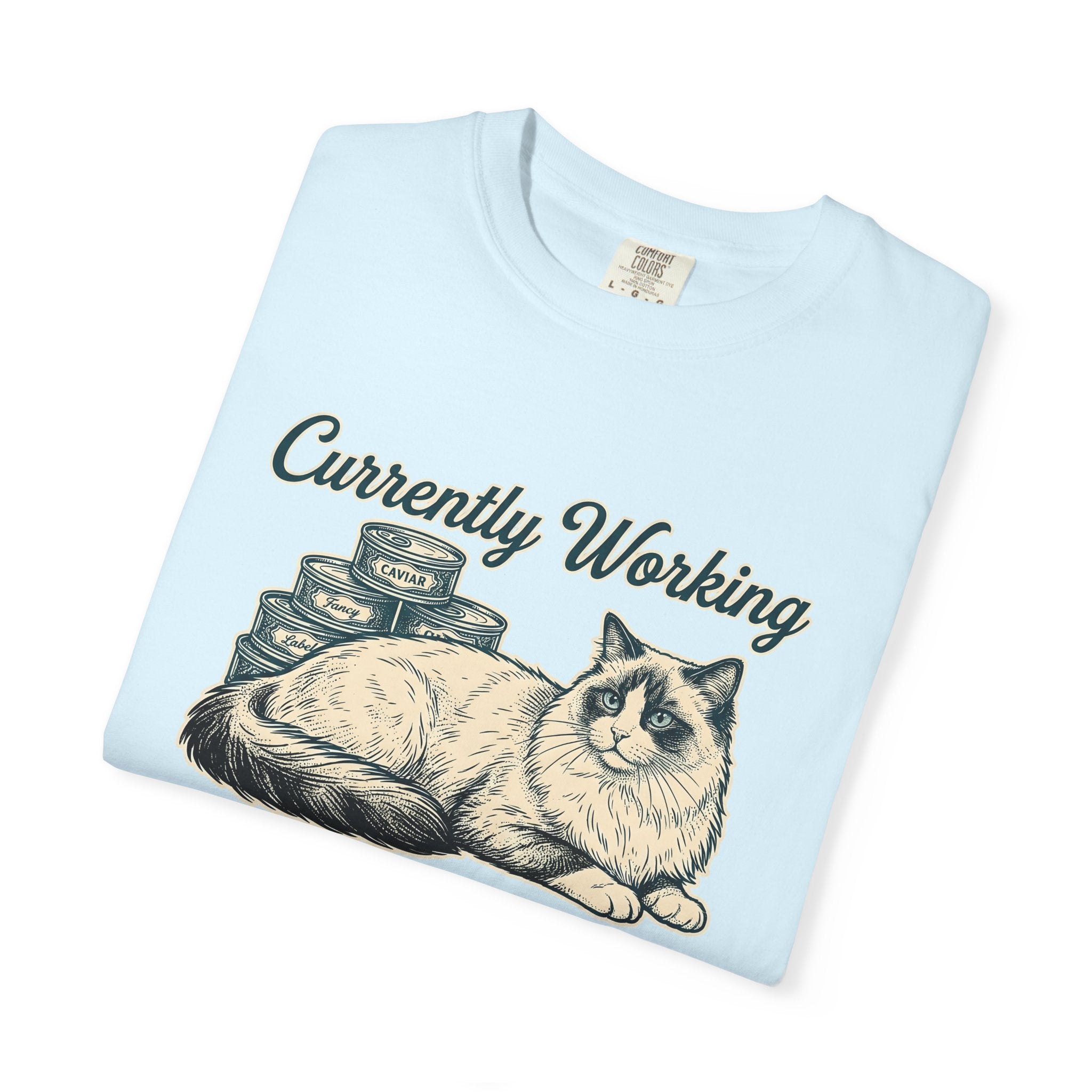 Ragdoll Pussycat Shirt Cat Companion Gift Women Distressed Tee Cat T-Shirt Cat Fan Vintage Tshirt Friend Graphic Line Art Kitty Food Cans