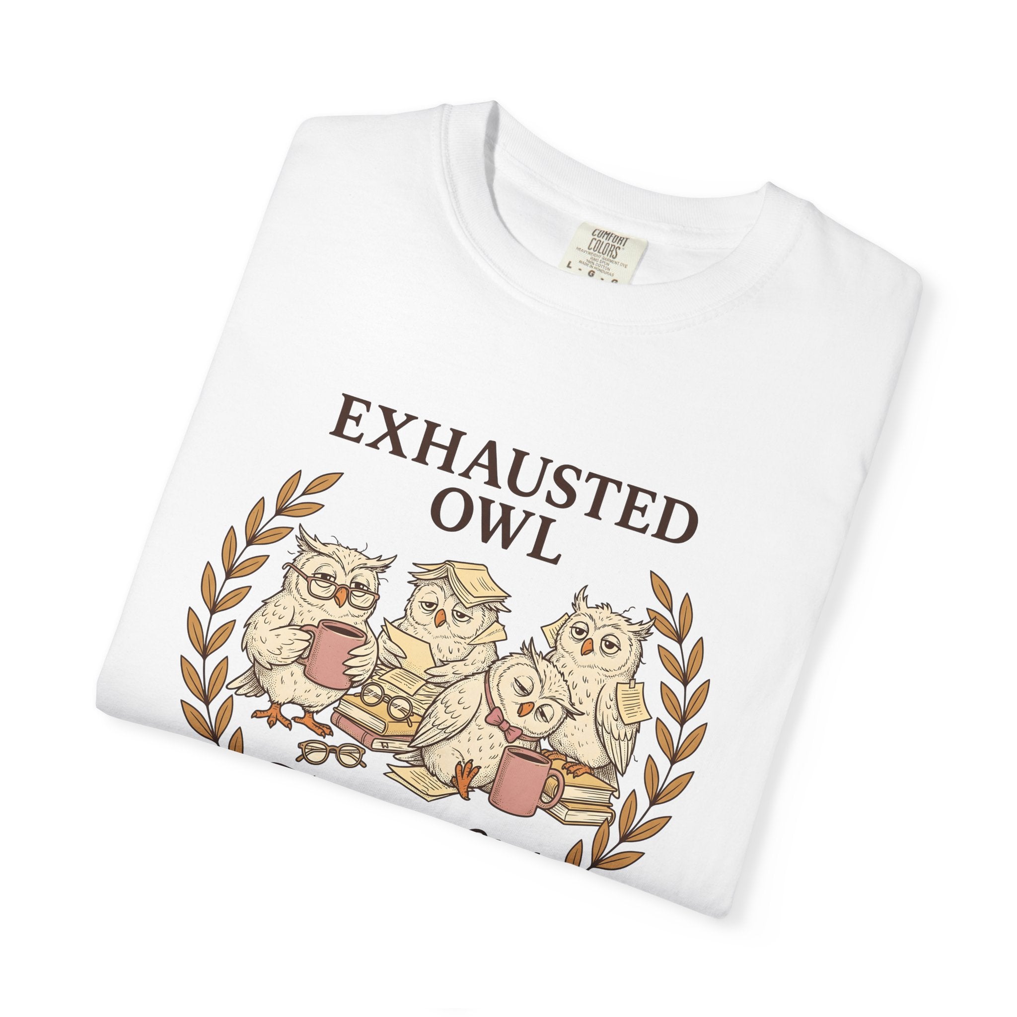 Sleepy Owls Shirt Teachers Comedy Gift Women Line Art Tee Owl T-Shirt Educator Enthusiast Illustration Graphic Classic Mug Tshirt