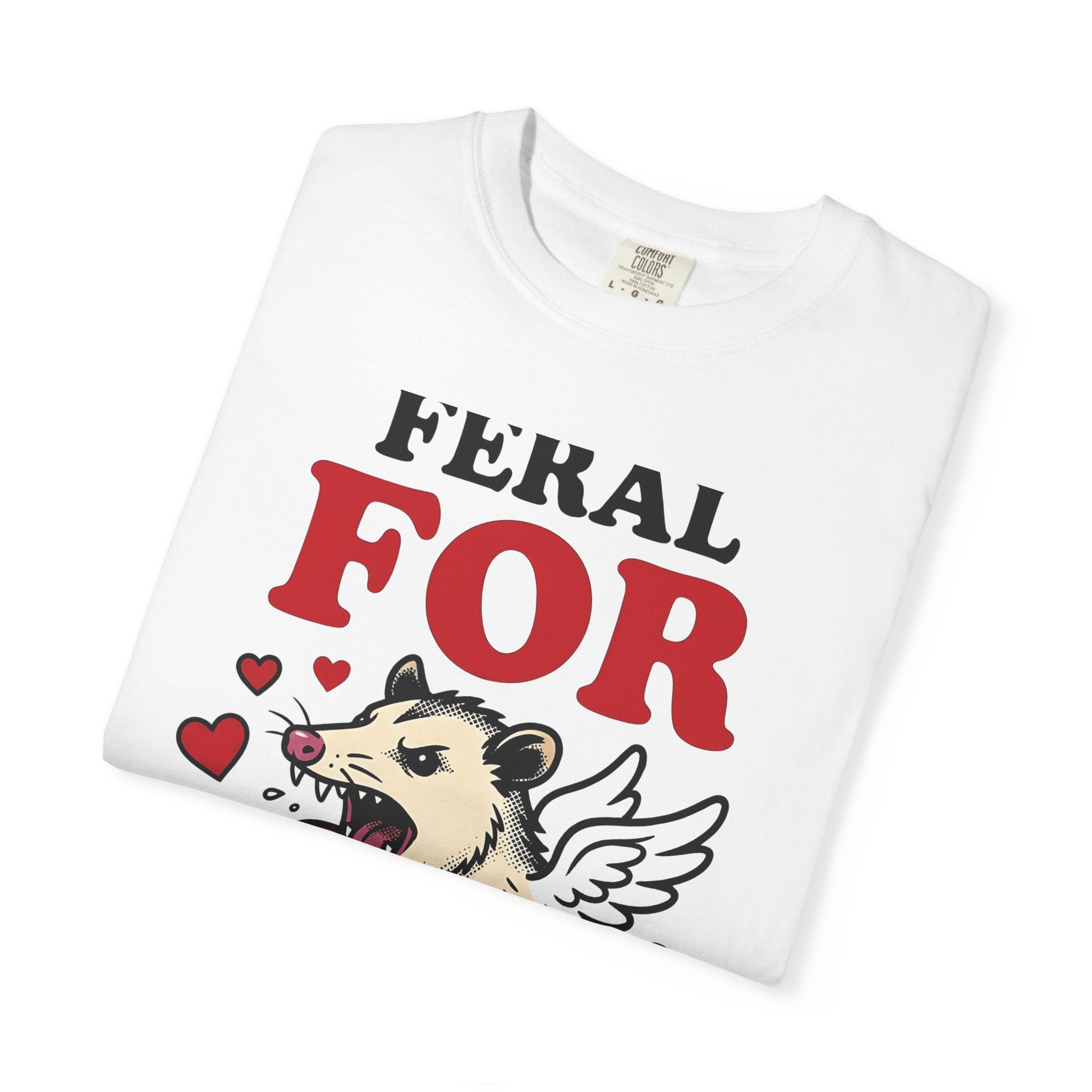 Opossum Wings Shirt St. Valentine's Day Wildlife Gift Women Animated Tee Possum T-Shirt Valentine Fan Cartoon Tshirt Animal Graphic Hand