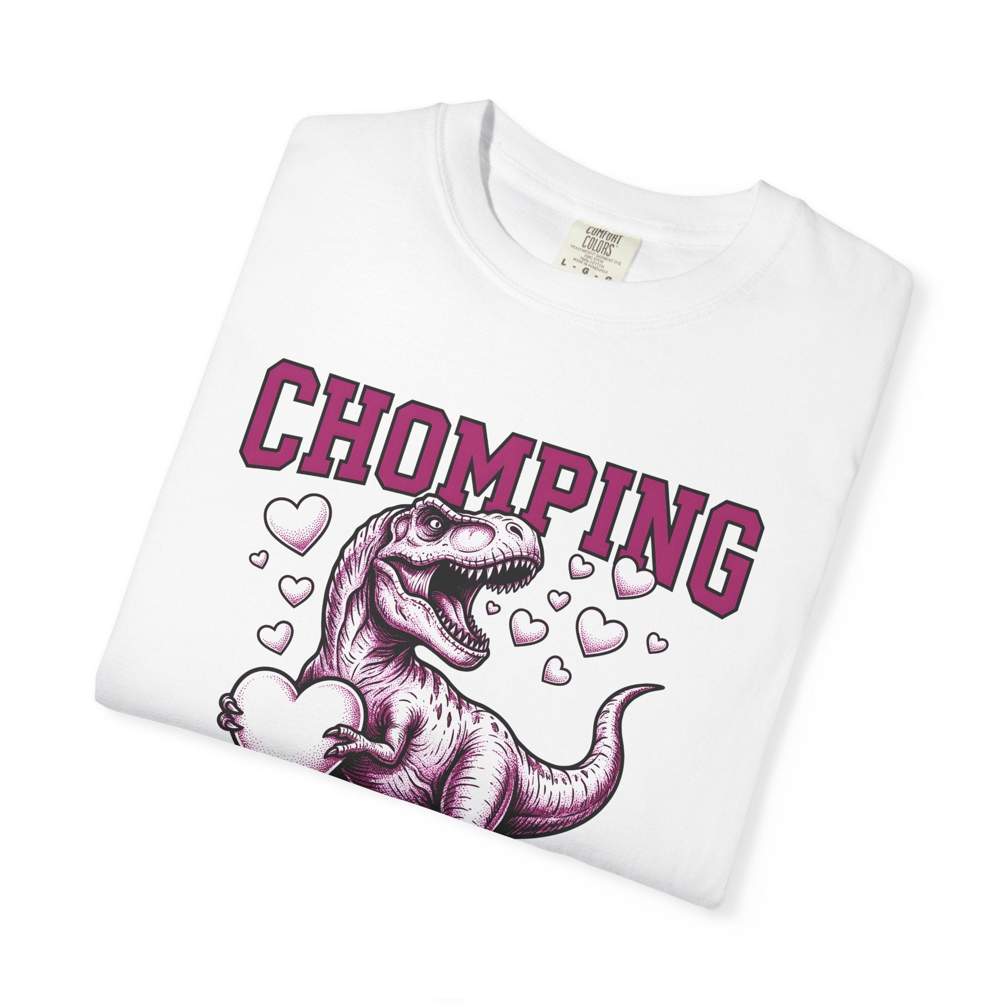 Dinosaur Love Shirt Valentine Prehistoric Gift Women Hand Drawn Tee Dinosaur T-Shirt Valentine Fan Illustrated Tshirt Jurassic Graphic