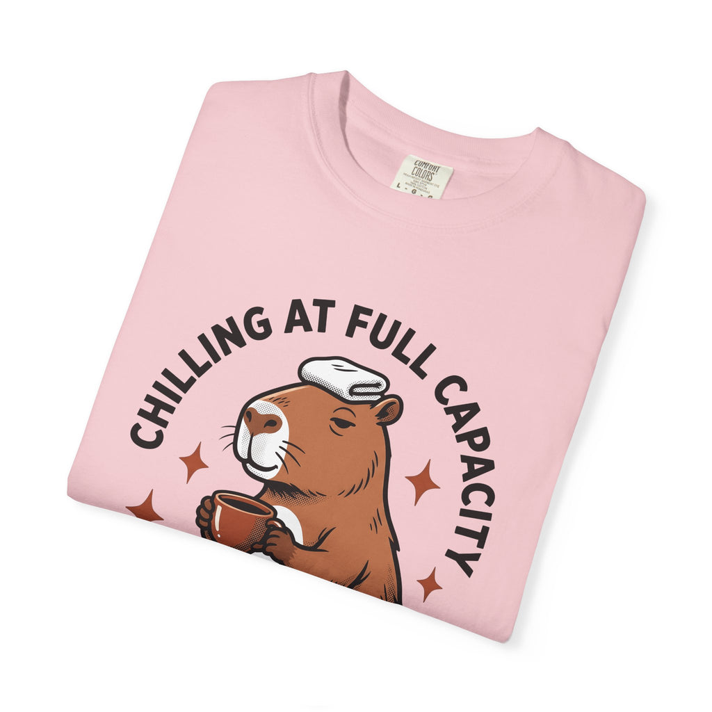 Capybara Latte Shirt Coffee Pets Gift Women Comic Strip Tee Rodent T-Shirt Coffee Fan Cartoon Tshirt Animal Graphic Classic Twinkles Tshirt