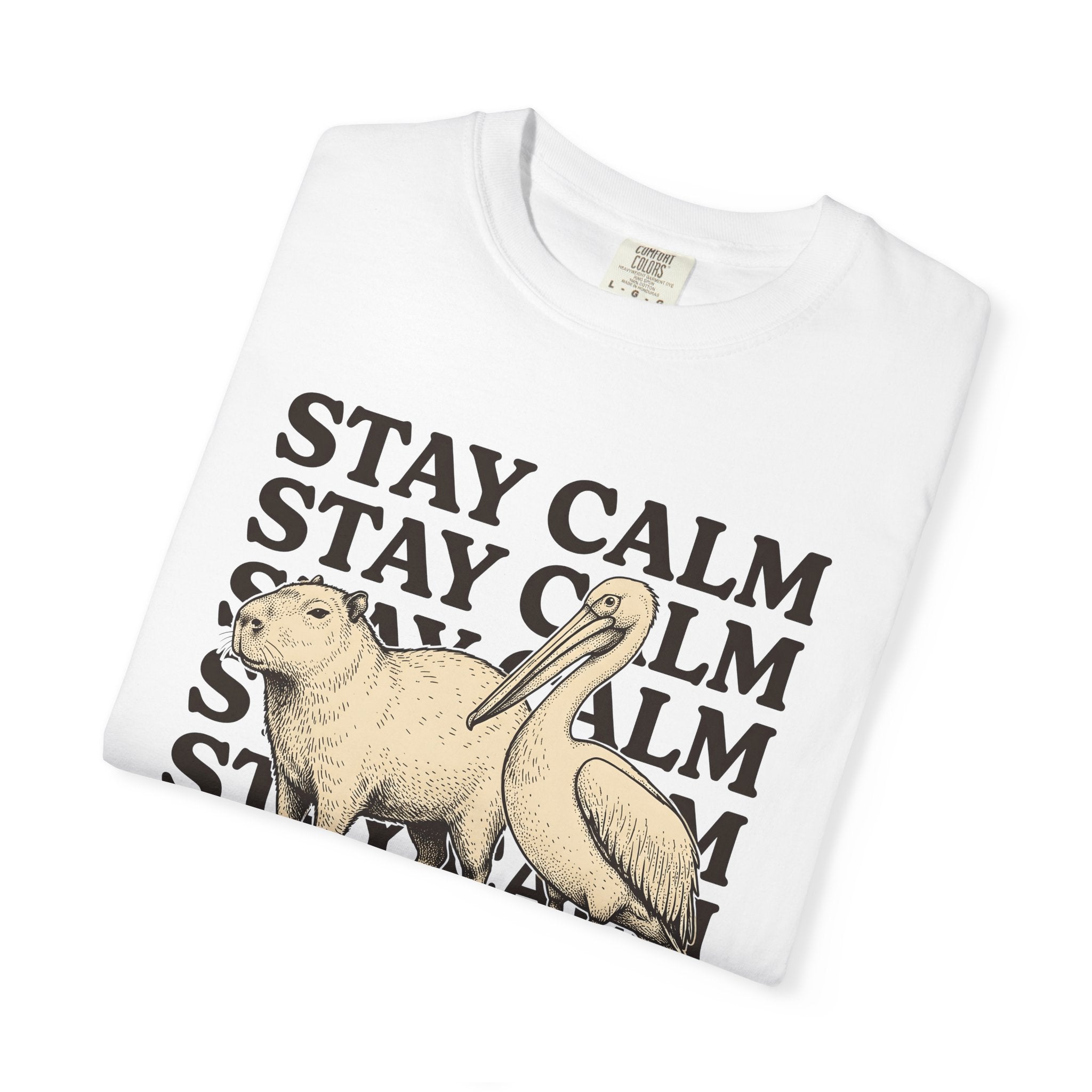Capybara Bird Shirt Funny Wildlife Gift Women Retro Tee Rodent T-Shirt Comedy Fan Vintage Tshirt Wildlife Graphic Sketch Animal Pair Tshirt