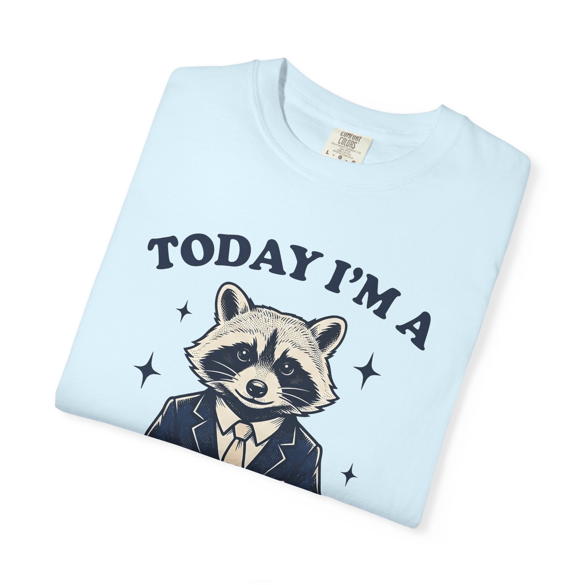 Raccoon Outfit Shirt Funny Fauna Gift Women Antique Tee Trash Panda T-Shirt Comedian Fan Vintage Tshirt Wildlife Graphic Line Art Star Icons