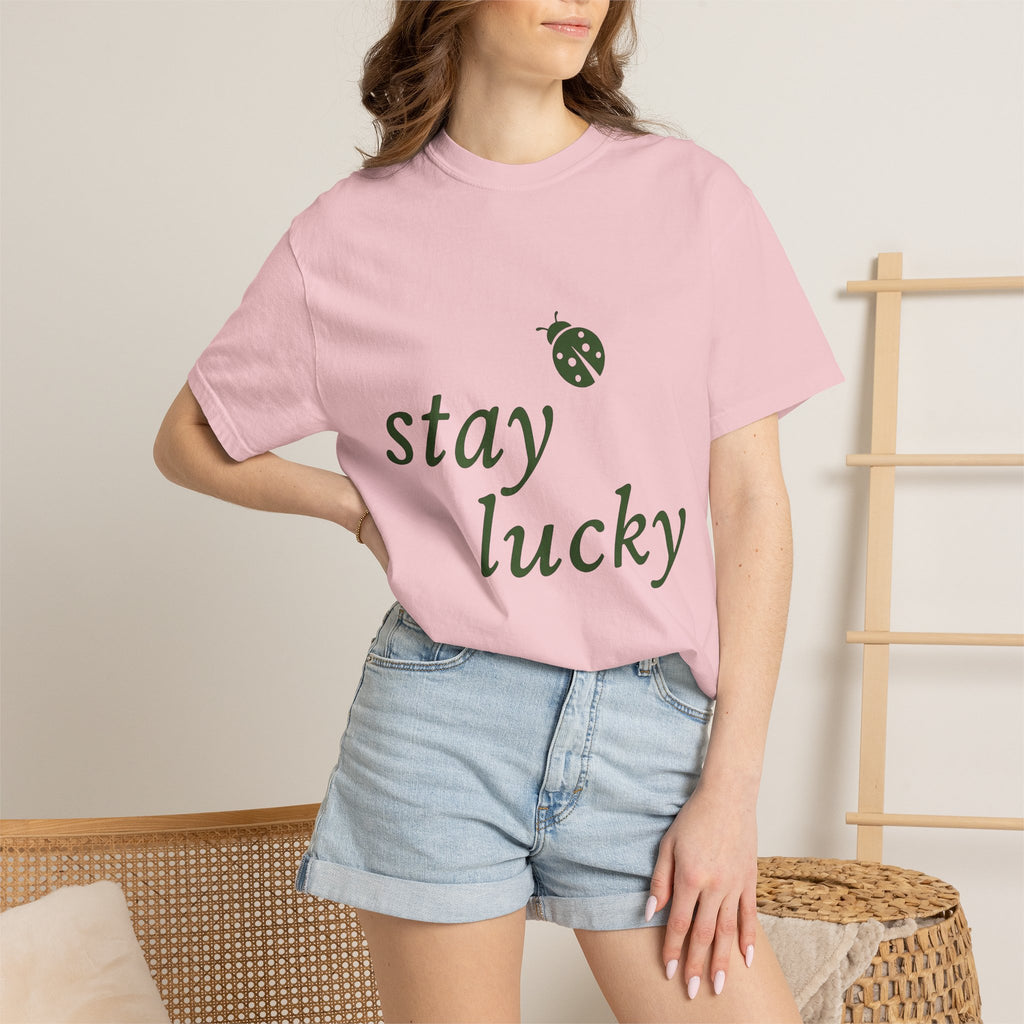 Ladybug Design Shirt St Patrick's Day Happiness Gift Women Simple Tee Ladybug T-Shirt Luck Fan Lady Tshirt Joy Graphic Vintage Good Luck