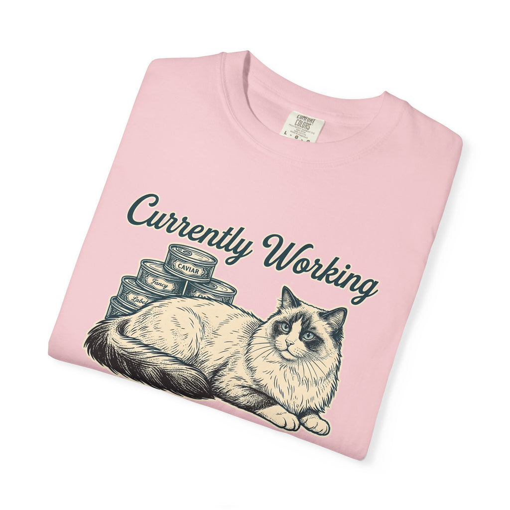 Ragdoll Pussycat Shirt Cat Companion Gift Women Distressed Tee Cat T-Shirt Cat Fan Vintage Tshirt Friend Graphic Line Art Kitty Food Cans