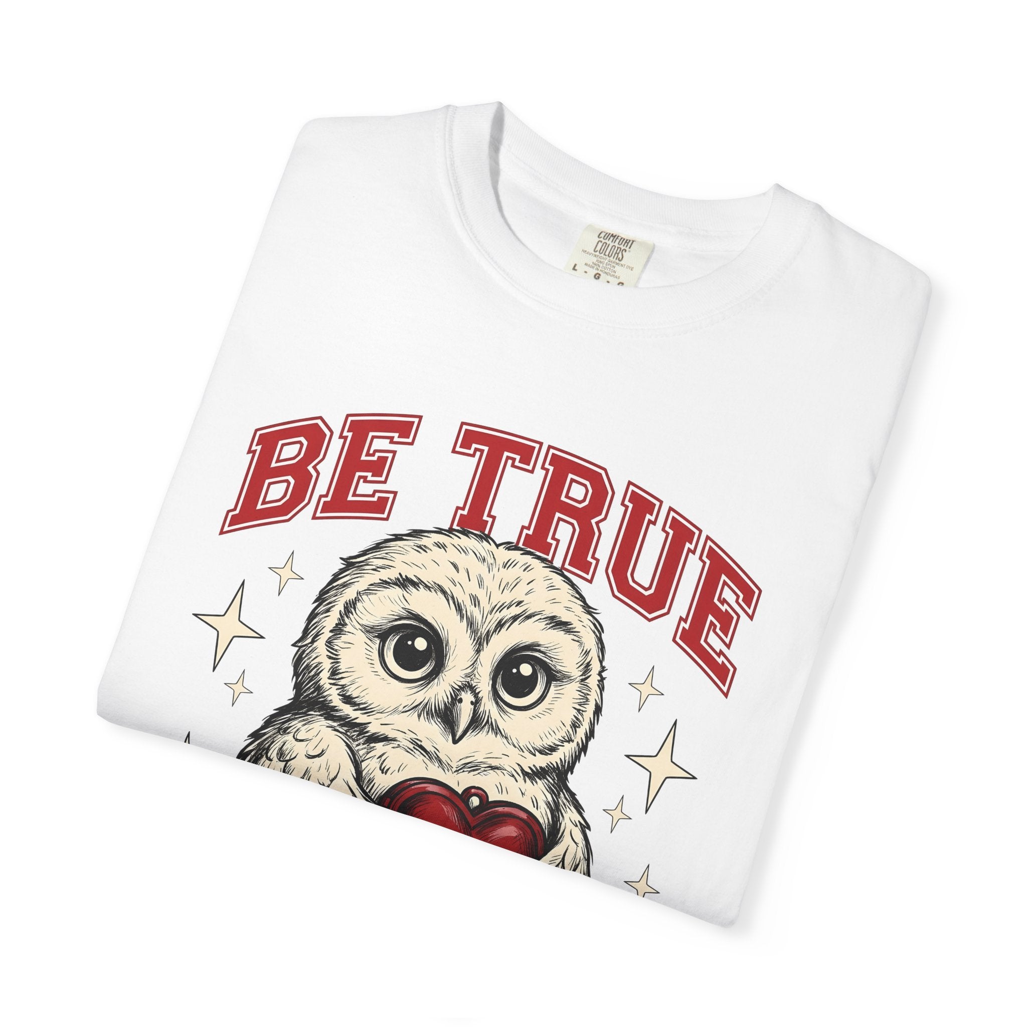 Owl Heart Shirt Valentines Day Animal Gift Women Cute Tee Owl T-Shirt Valentine Fan Kawaii Tshirt Creature Graphic Vintage Stars Tshirt