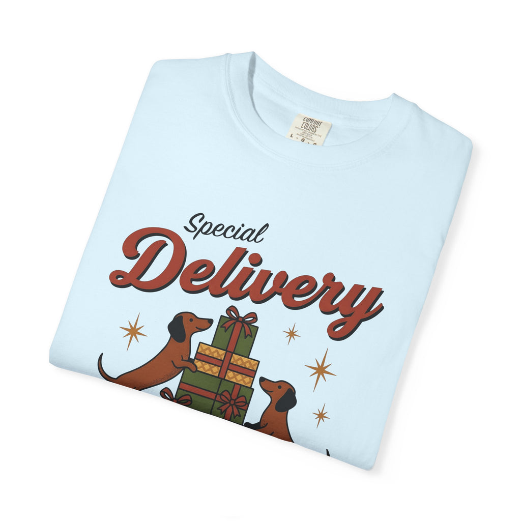Dachshund Dogs Shirt Christmas Dog Gift Women Vintage Tee Wiener Dog T-Shirt Christmas Fan Doxie Graphic Retro Gift Boxes Tshirt
