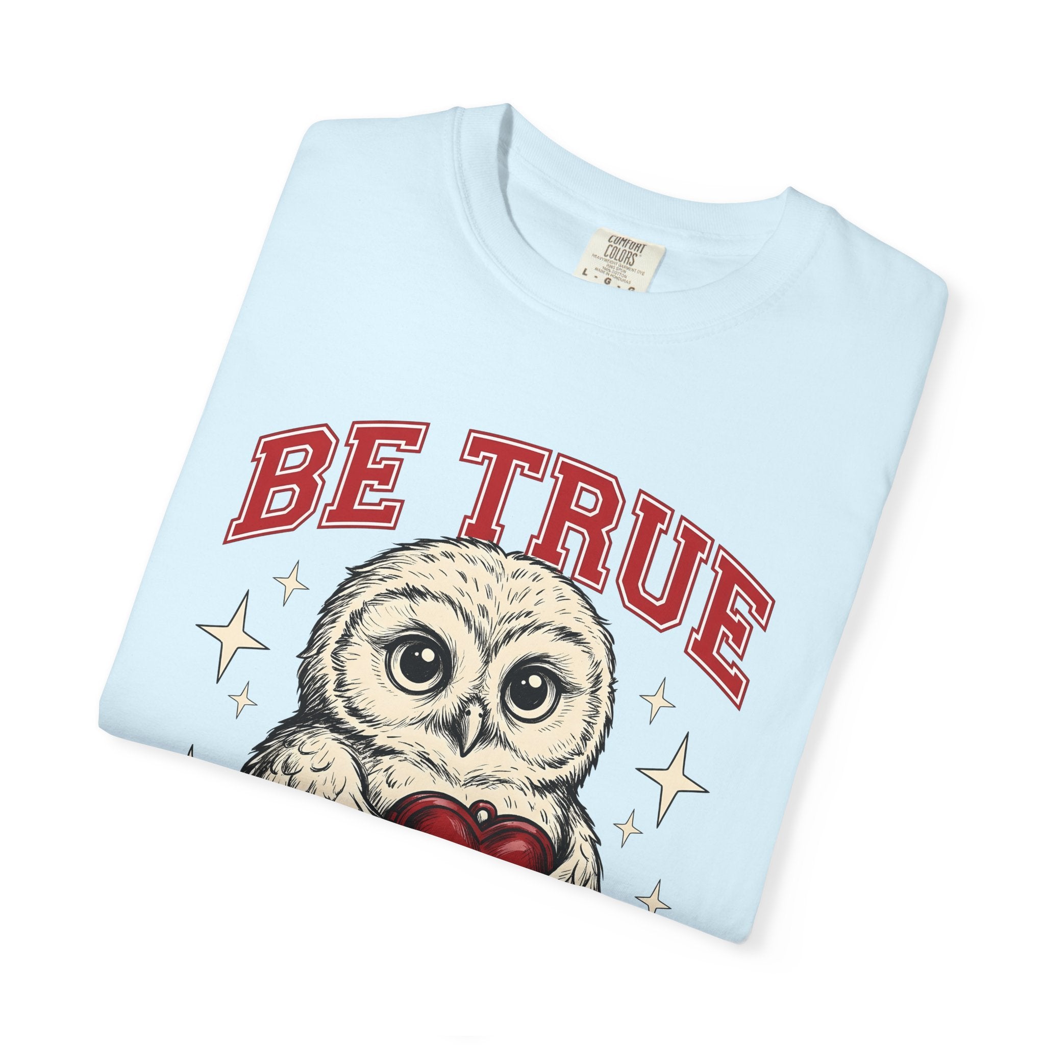Owl Heart Shirt Valentines Day Animal Gift Women Cute Tee Owl T-Shirt Valentine Fan Kawaii Tshirt Creature Graphic Vintage Stars Tshirt