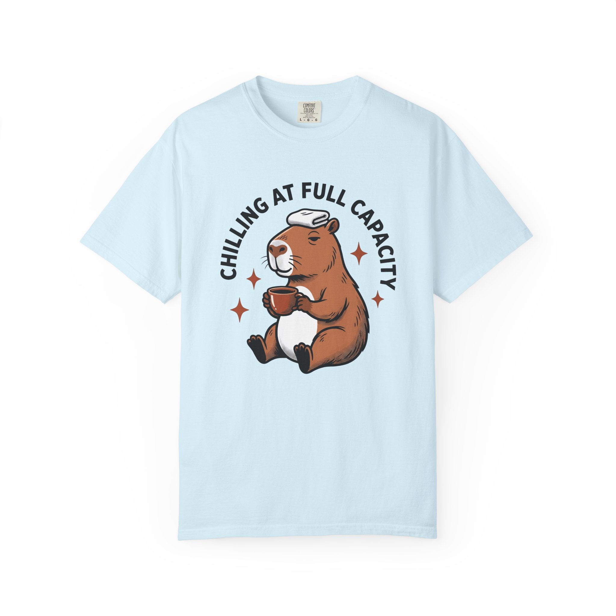 Capybara Latte Shirt Coffee Pets Gift Women Comic Strip Tee Rodent T-Shirt Coffee Fan Cartoon Tshirt Animal Graphic Classic Twinkles Tshirt
