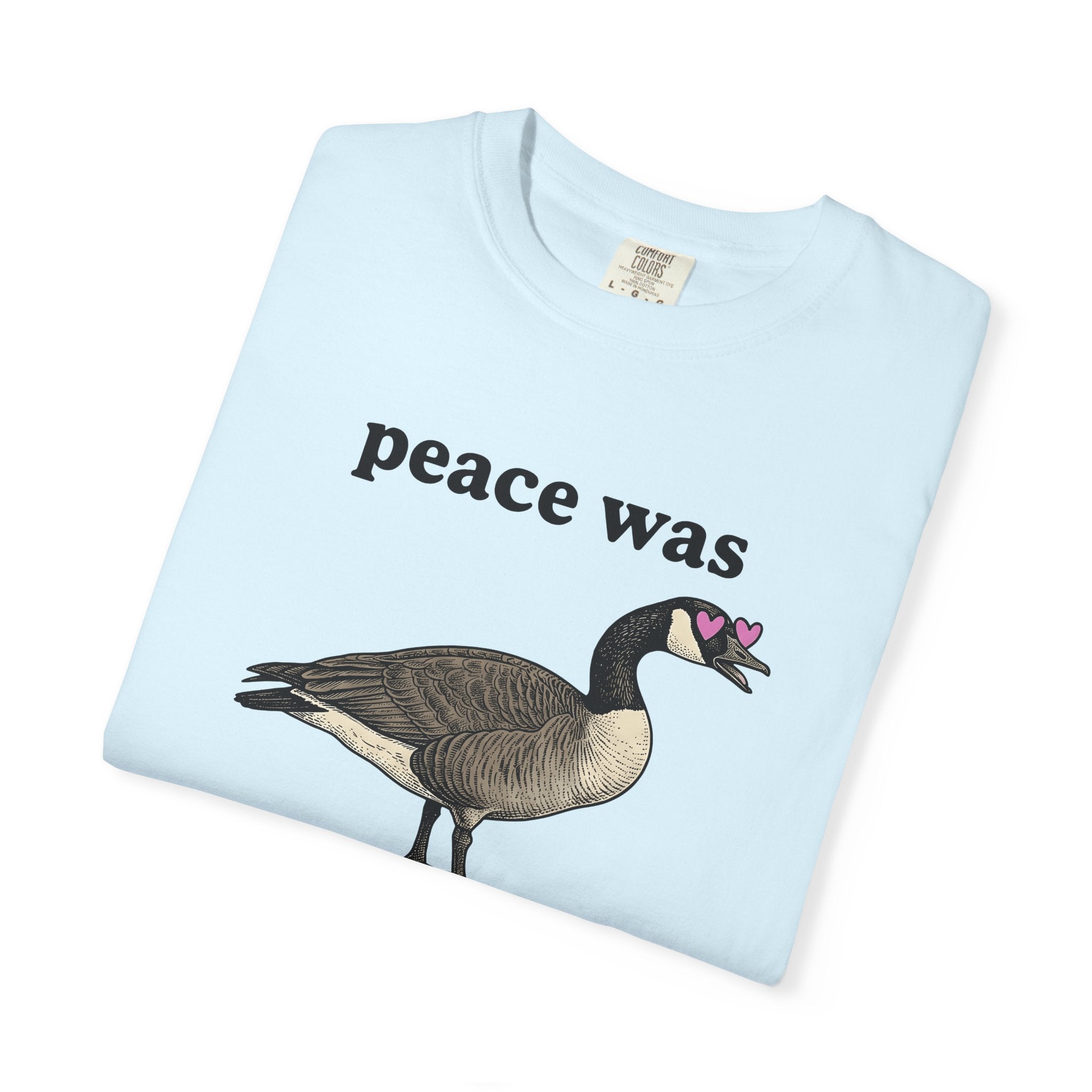 Goose Graphic Shirt Animals Humor Gift Women Vintage Tee Goose T-Shirt Wildlife Fan Retro Tshirt Comedy Graphic Hand Drawn Heart Eyes Tshirt