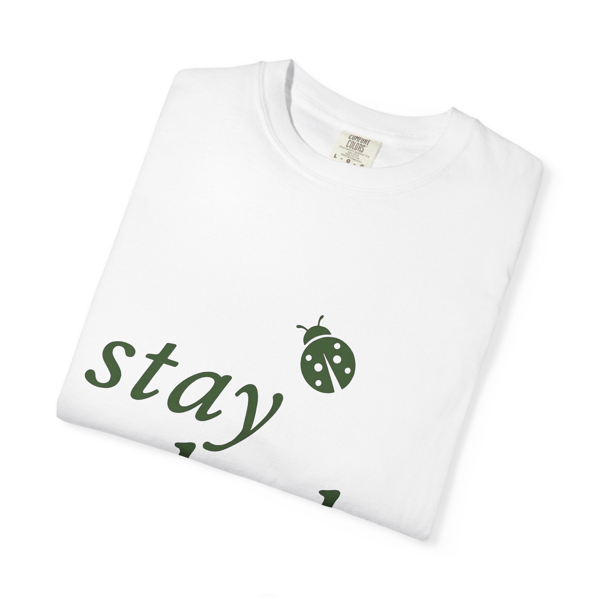 Ladybug Design Shirt St Patrick's Day Happiness Gift Women Simple Tee Ladybug T-Shirt Luck Fan Lady Tshirt Joy Graphic Vintage Good Luck