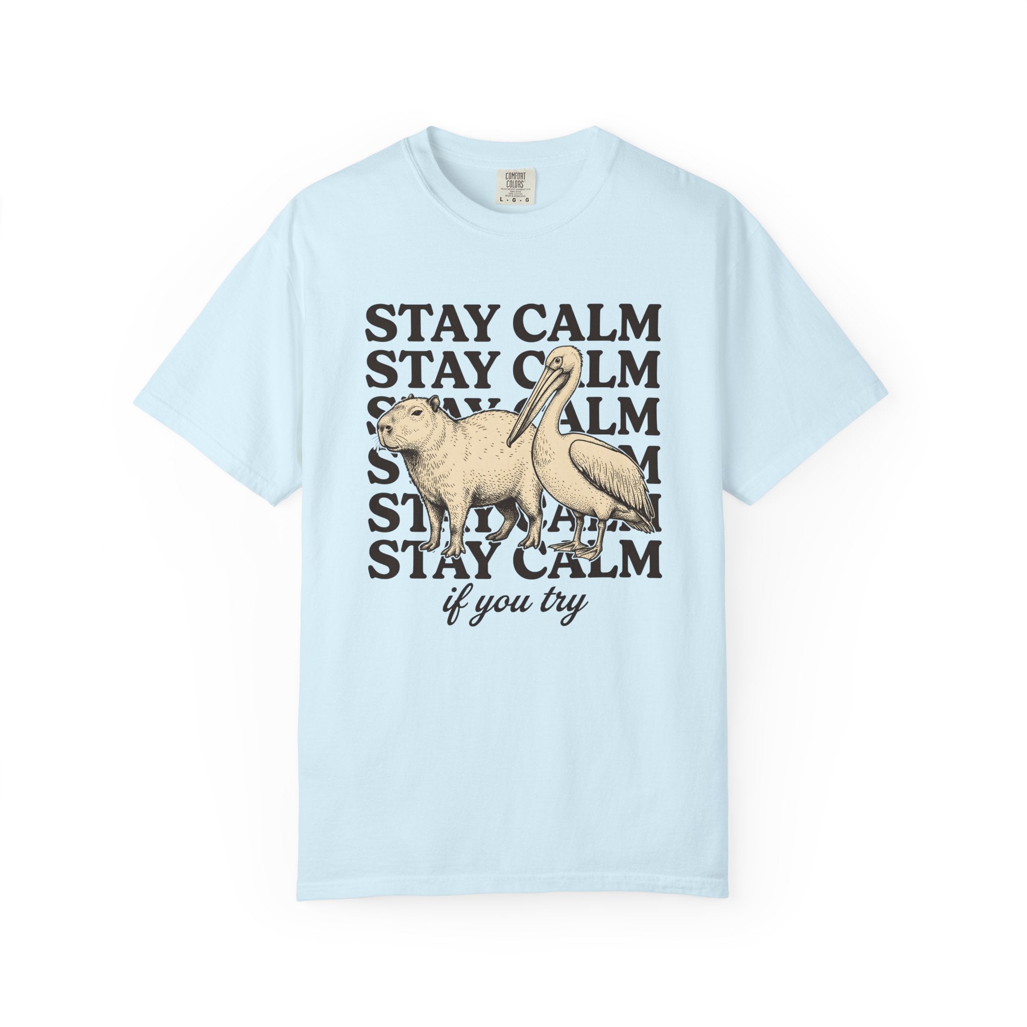 Capybara Bird Shirt Funny Wildlife Gift Women Retro Tee Rodent T-Shirt Comedy Fan Vintage Tshirt Wildlife Graphic Sketch Animal Pair Tshirt