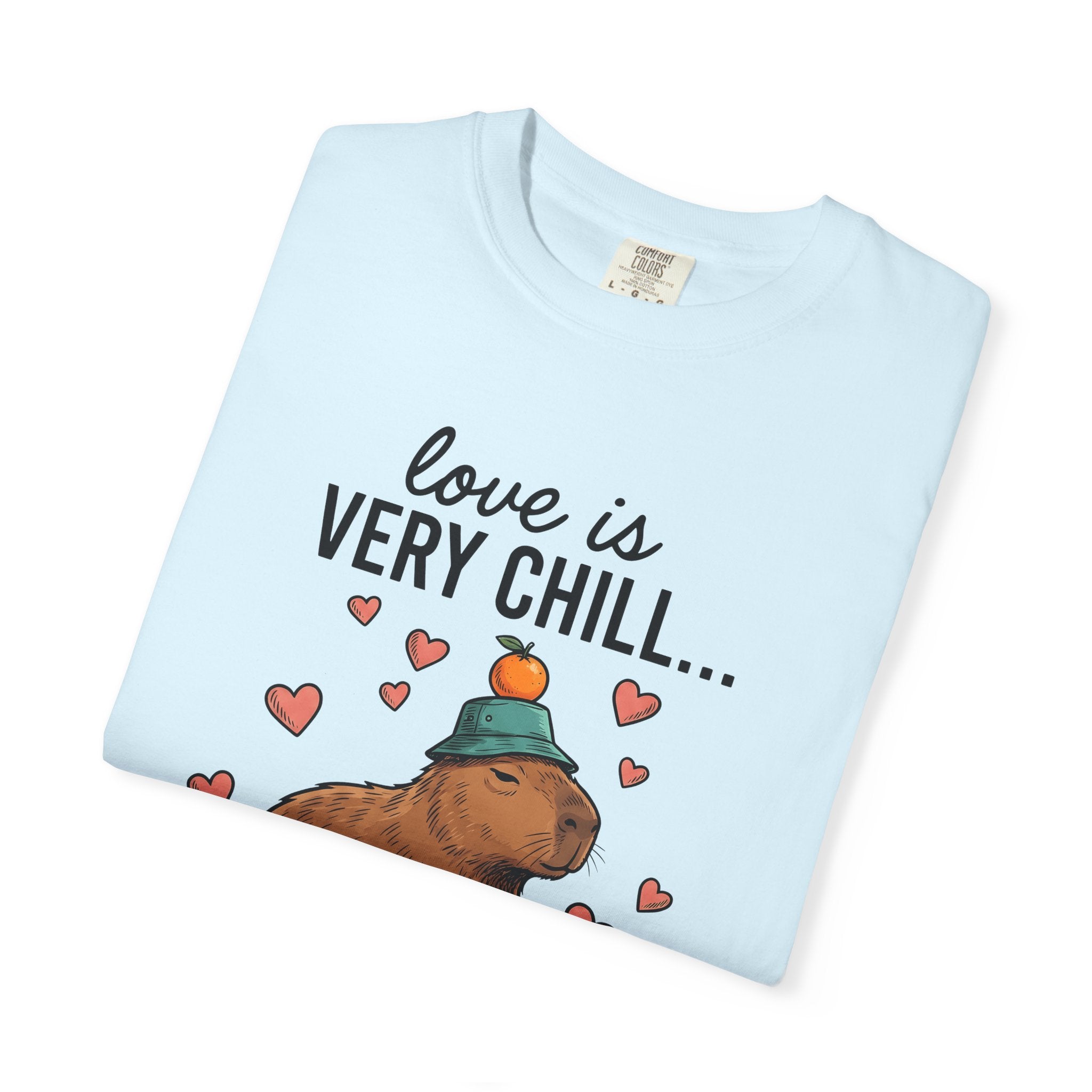 Capybara Drawing Shirt Valentines Day Creature Gift Women Animation Tee Rodent T-Shirt Valentine Fan Cartoon Tshirt Animal Graphic Doodle