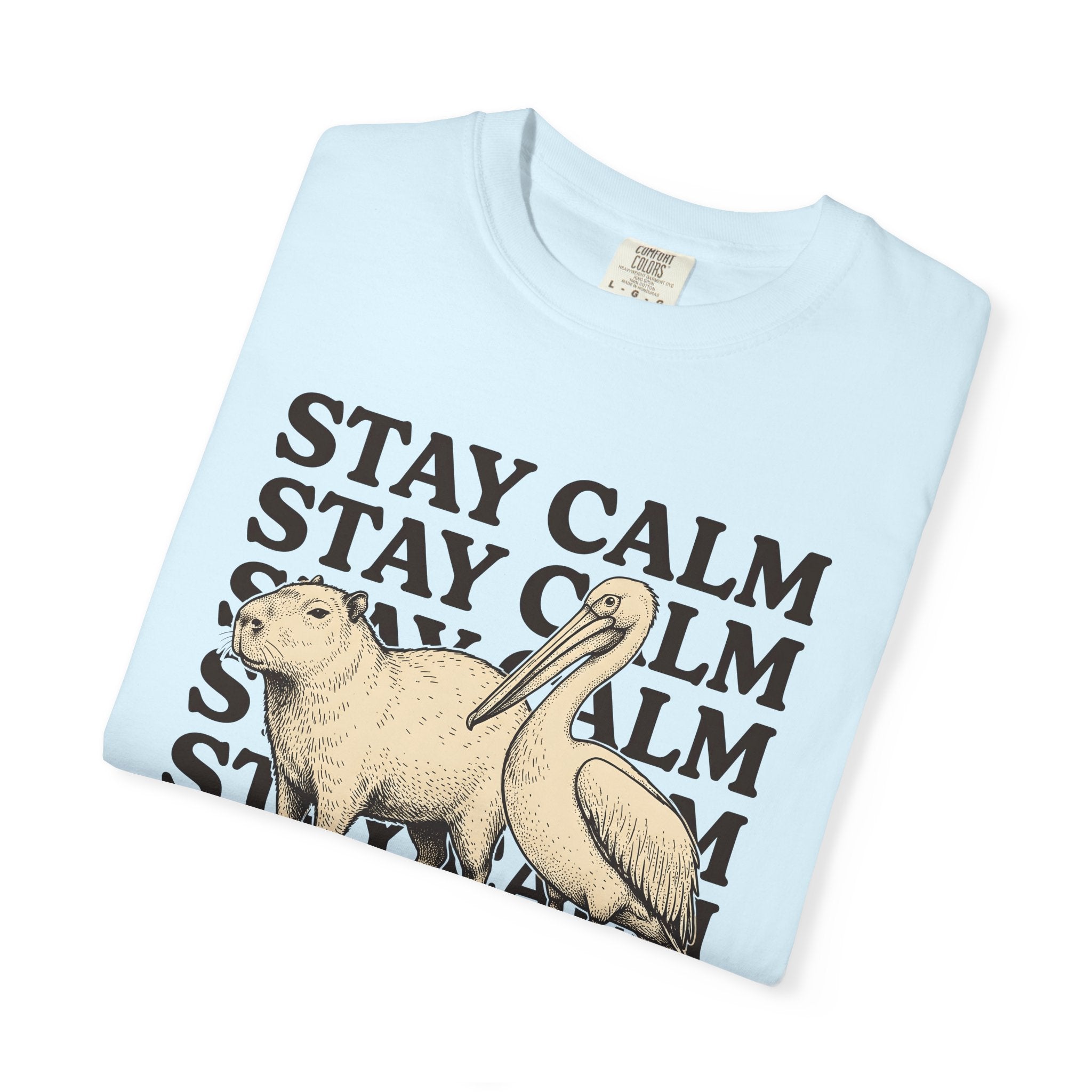 Capybara Bird Shirt Funny Wildlife Gift Women Retro Tee Rodent T-Shirt Comedy Fan Vintage Tshirt Wildlife Graphic Sketch Animal Pair Tshirt