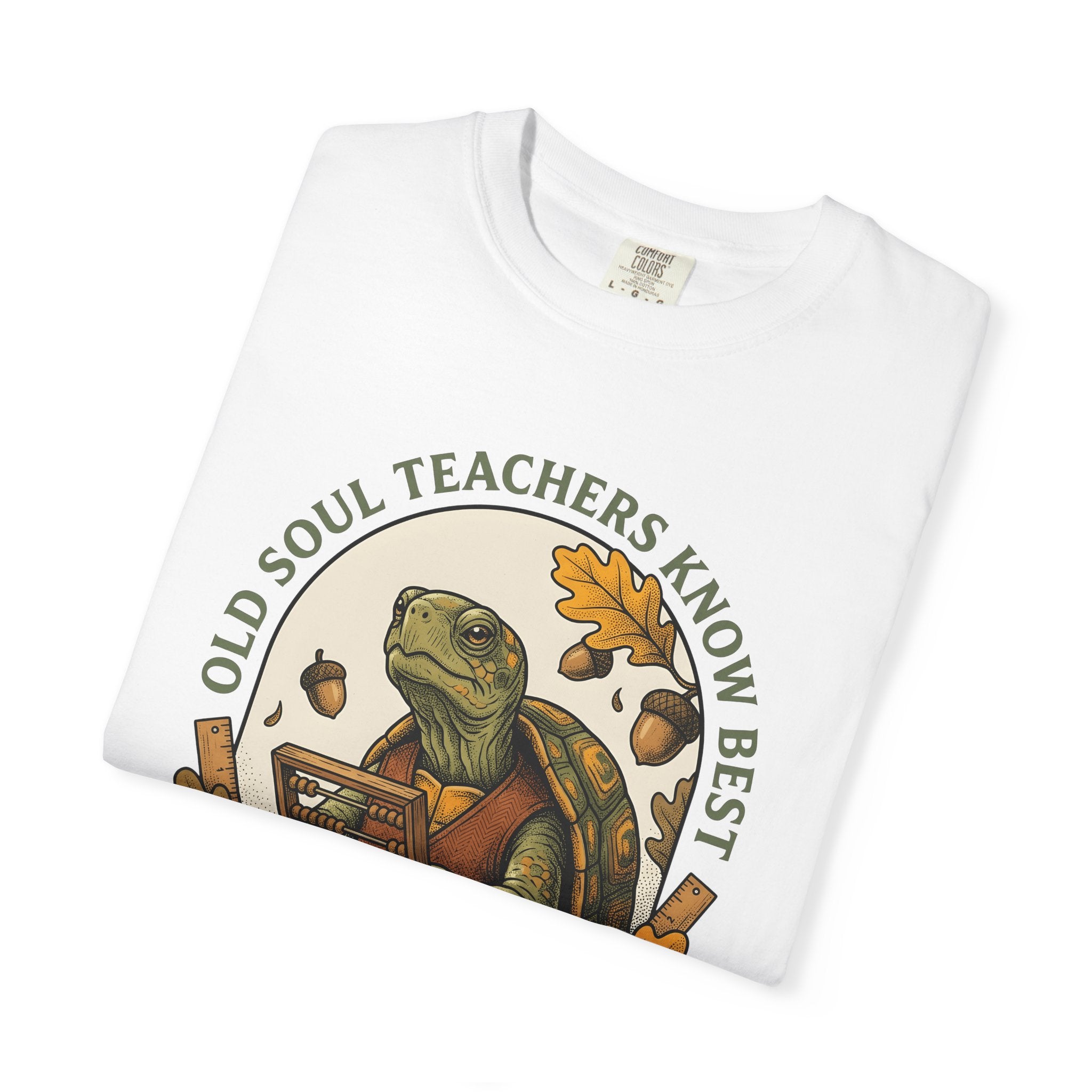 Turtle Mentor Shirt Teachers Creatures Gift Women Old School Tee Tormentor T-Shirt Educator Enthusiast Retro Tshirt Animal Graphic Cartoon