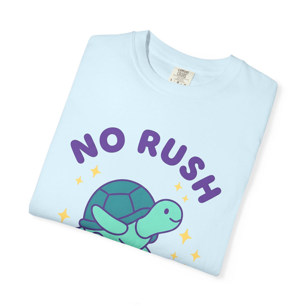 Turtle Skateboard Shirt Funny Animal Gift Women Cartoon Tee Skateboarding T-Shirt Humor Fan Comic Tshirt Wildlife Graphic Retro Stars Tshirt