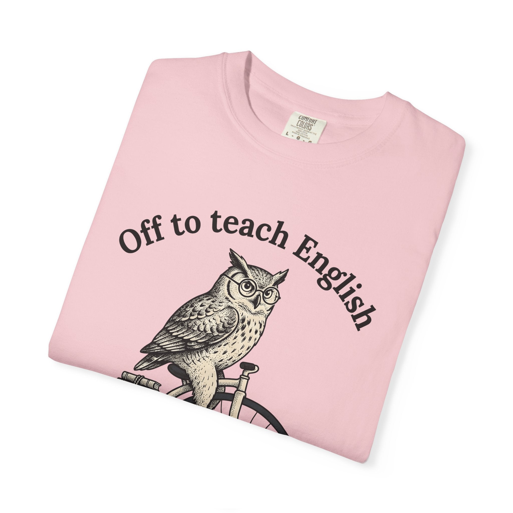 Owl Cycling Shirt Teachers Schooling Gift Women Antique Tee Hoot T-Shirt Educator Enthusiast Vintage Tshirt Classroom Graphic Line Art