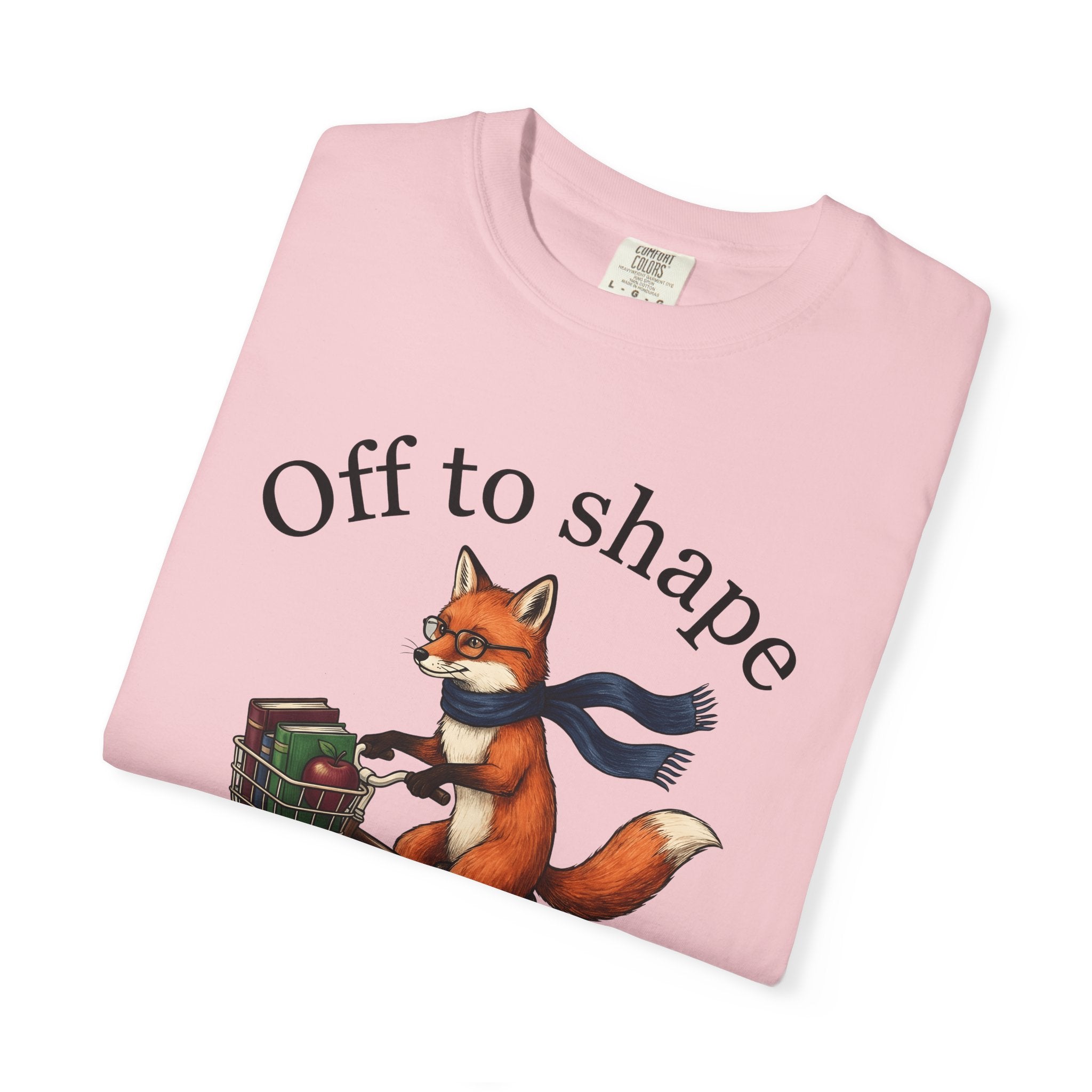 Fox Cycling Shirt Teacher Wildlife Gift Women Cute Tee Fox T-Shirt Educator Enthusiast Cartoon Tshirt Wildlife Graphic Doodle Book Stack