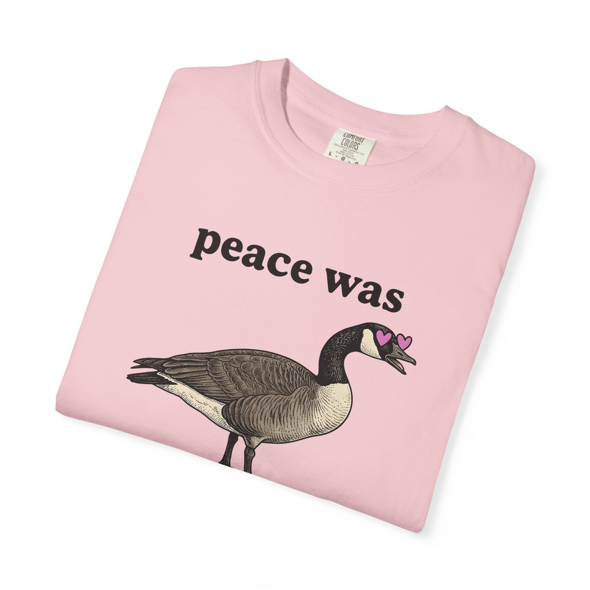 Goose Graphic Shirt Animals Humor Gift Women Vintage Tee Goose T-Shirt Wildlife Fan Retro Tshirt Comedy Graphic Hand Drawn Heart Eyes Tshirt