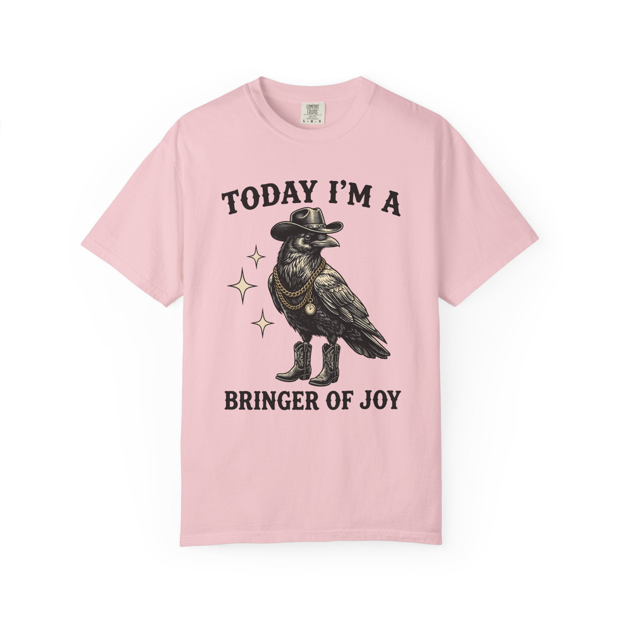 Country Crow Shirt Funny Bird Gift Women Old School Tee Crow T-Shirt Humor Fan Retro Tshirt Bird Graphic Cartoon Jewelry Chain Tshirt