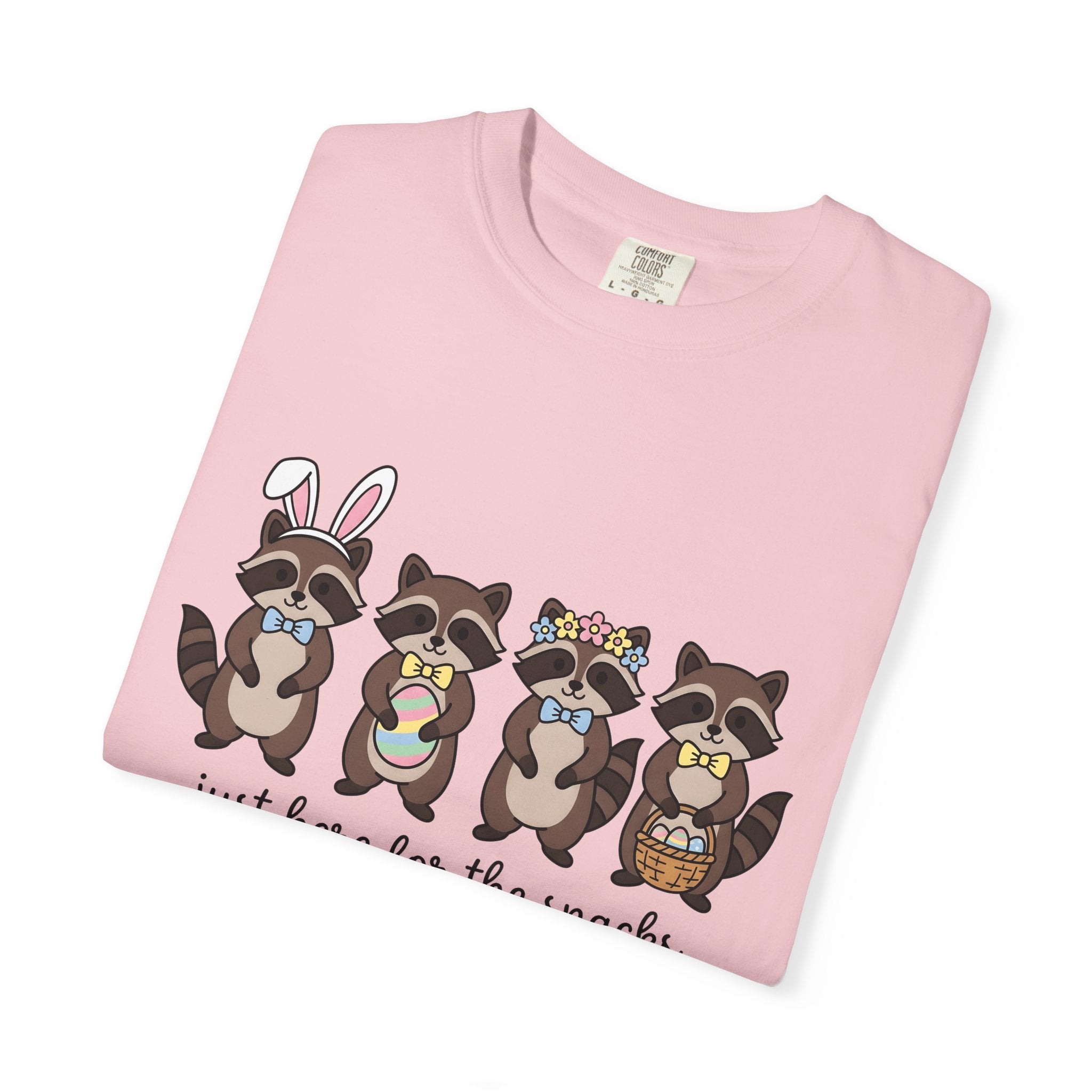 Raccoon Family Shirt Easter Pets Gift Women Sweet Tee Raccoon T-Shirt Easter Fan Trash Panda Tshirt Animal Graphic Animation Easter Egg
