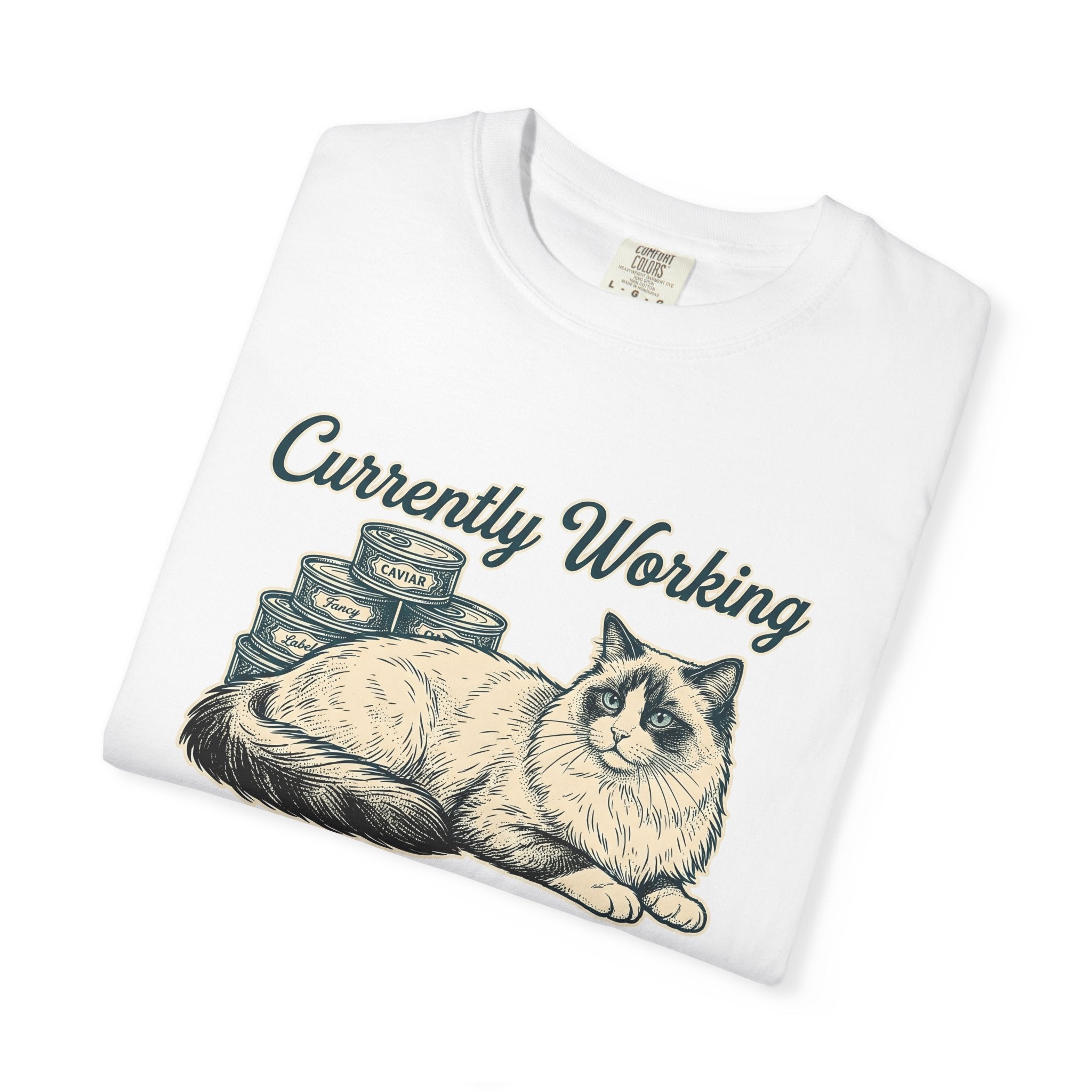 Ragdoll Pussycat Shirt Cat Companion Gift Women Distressed Tee Cat T-Shirt Cat Fan Vintage Tshirt Friend Graphic Line Art Kitty Food Cans